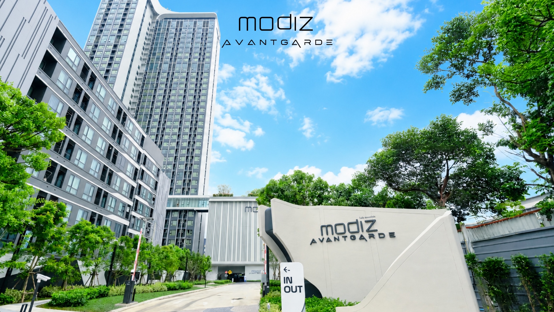 Modiz Avantgarde