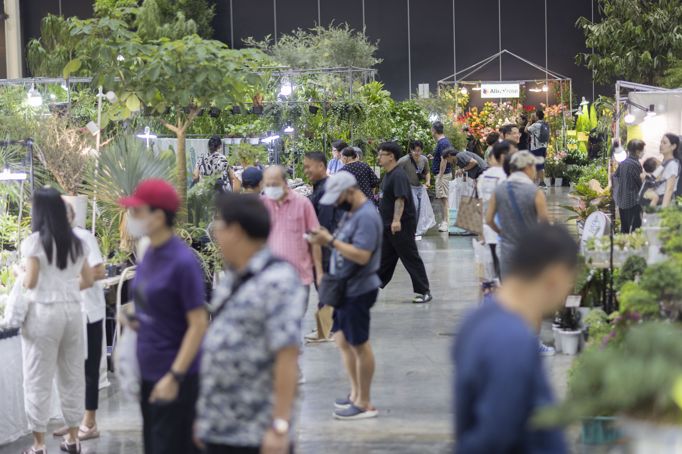 บรรยากาศภายในงานบ้านและสวนแฟร์ Midyear 2026