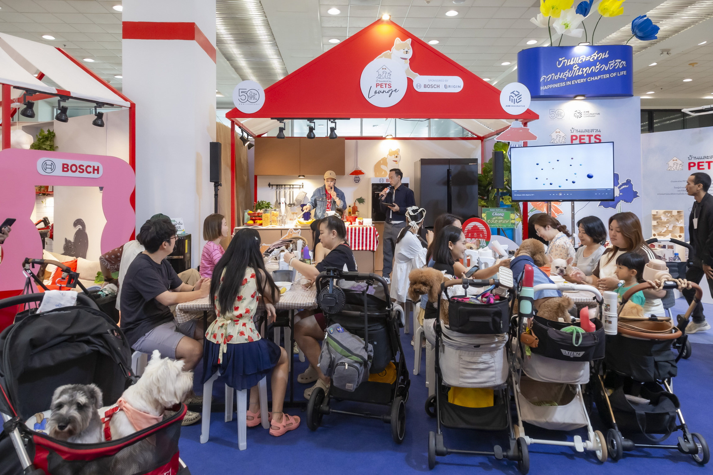 โซนบ้านและสวน Pets Lounge