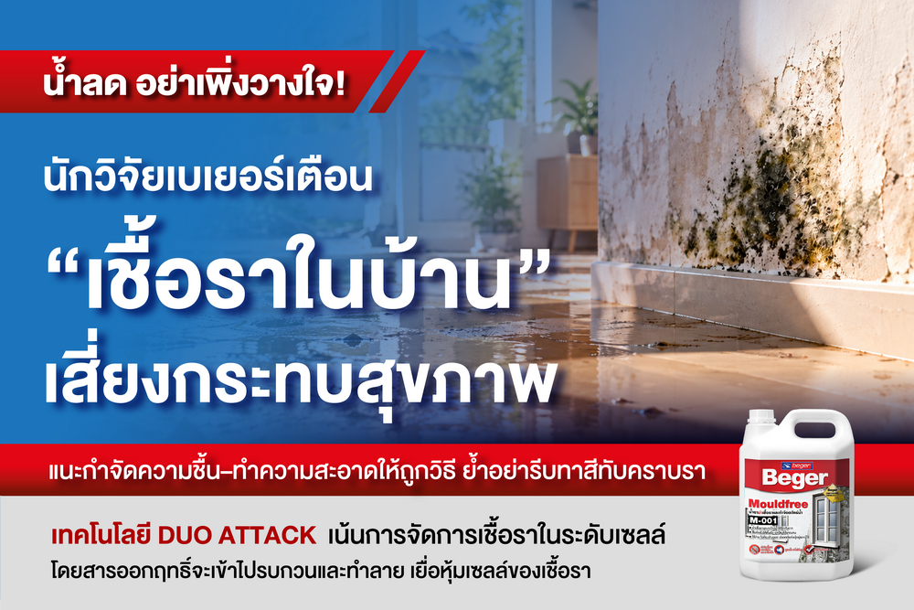 น้ำลด อย่าเพิ่งวางใจ! นักวิจัยเบเยอร์เตือนเชื้อราในบ้านเสี่ยงกระทบสุขภาพ