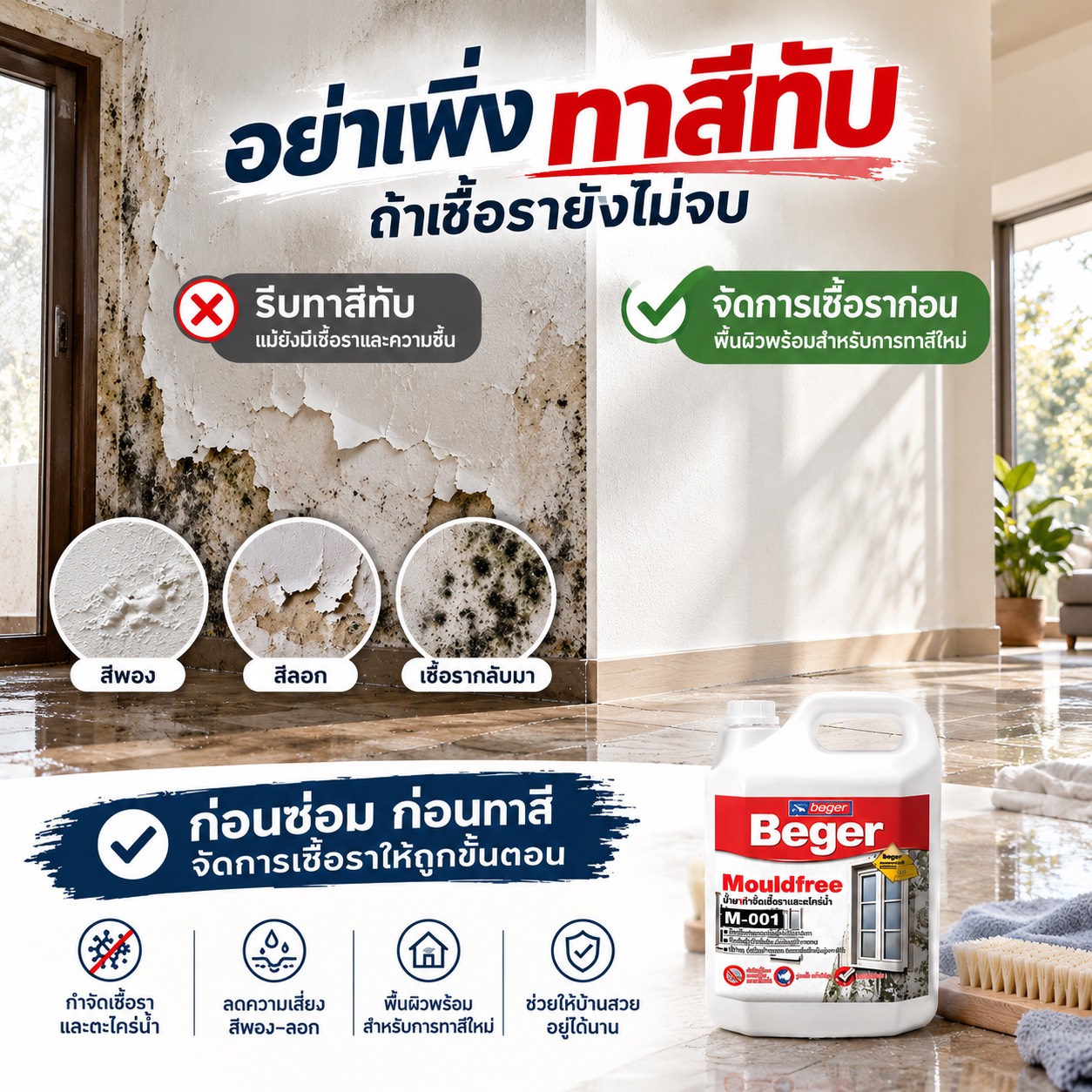 อินโฟกราฟิกคำแนะนำการกำจัดเชื้อราในบ้านหลังน้ำลด