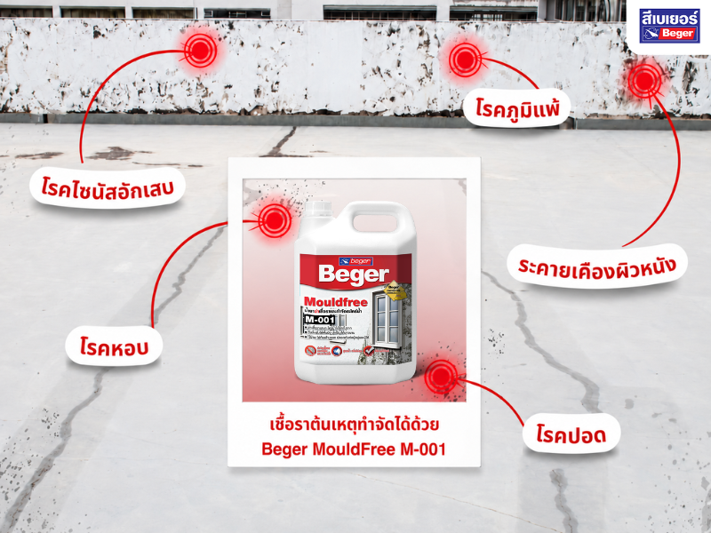 ภาพประกอบคำแนะนำการดูแลบ้านหลังน้ำลด