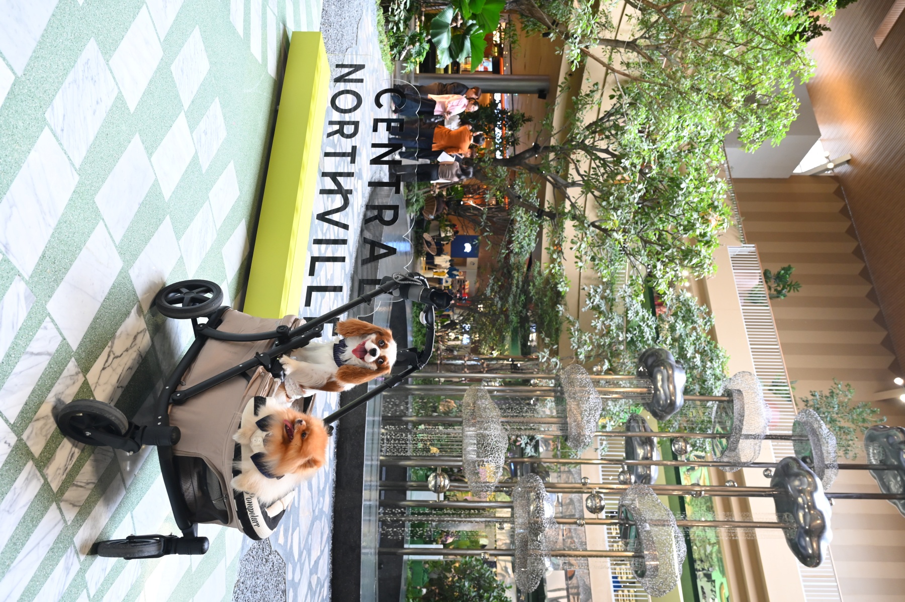 Pet Friendly ที่เซ็นทรัล นอร์ทวิลล์