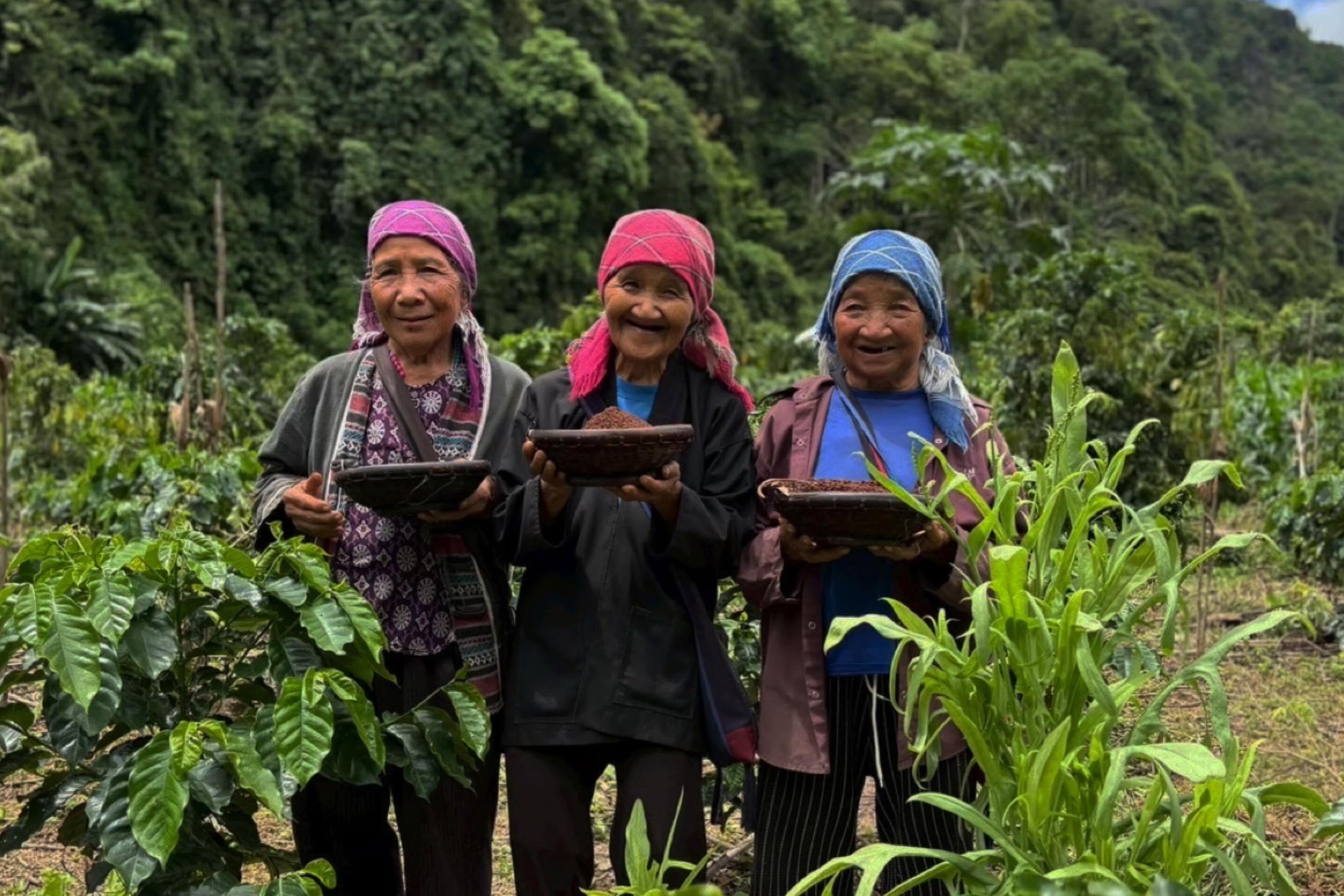 โครงการ Seeds Journey