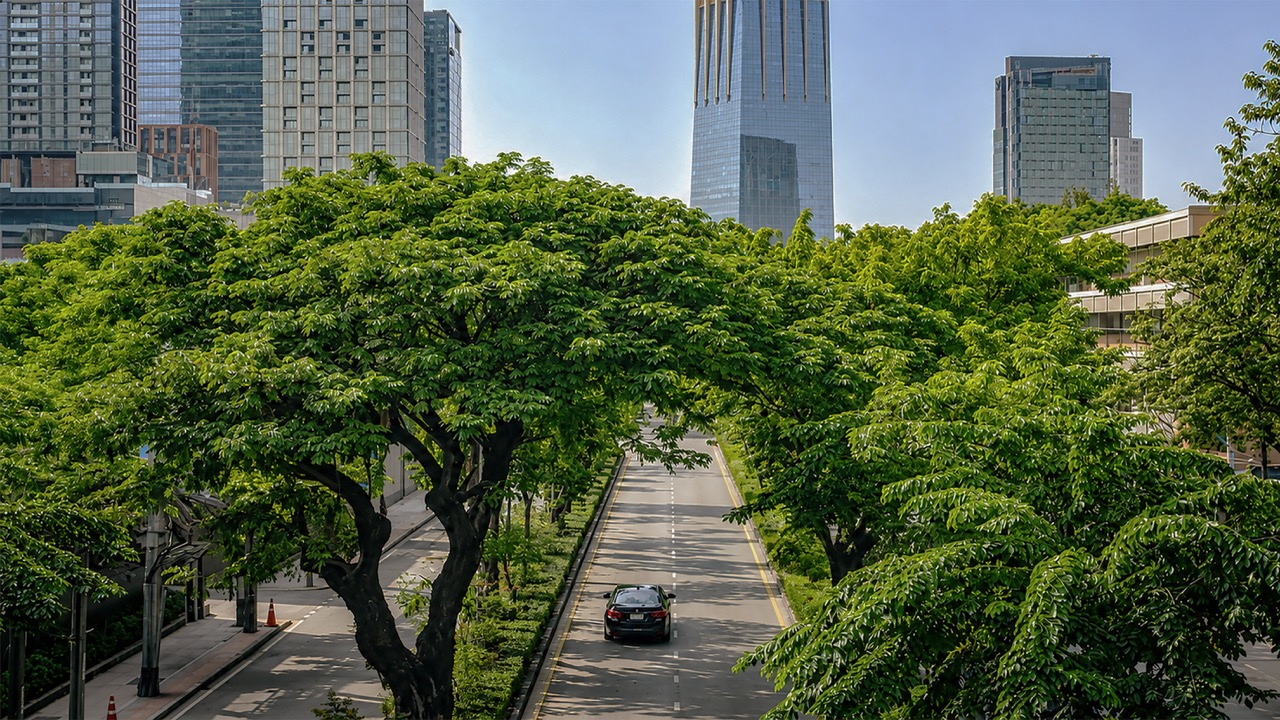 ถนนวิทยุ ย่านสำคัญที่รายล้อมด้วยพื้นที่สีเขียว