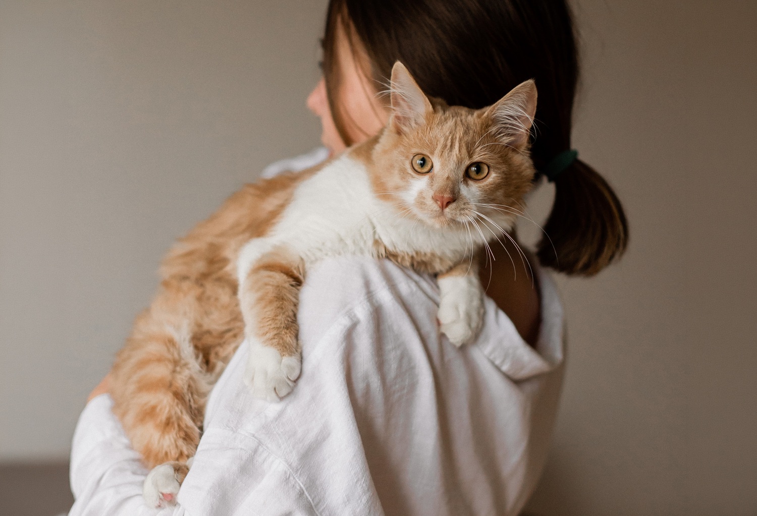 Pet Welcome Condo คอนโดเลี้ยงสัตว์ได้ ที่เดียวในย่านนี้
