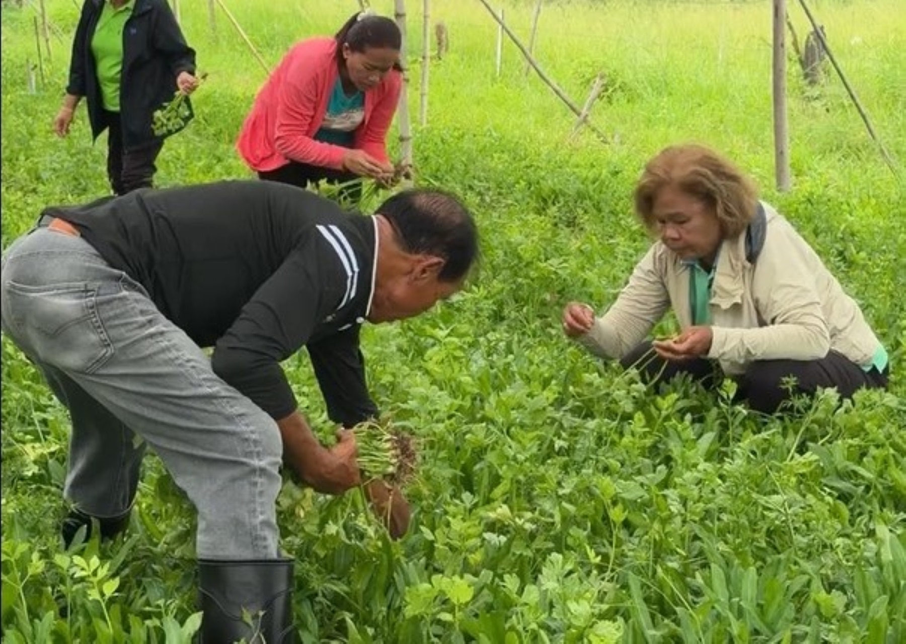ผู้ร่วมงานเยี่ยมชมศูนย์เรียนรู้เกษตรบ้านโนนเขวา