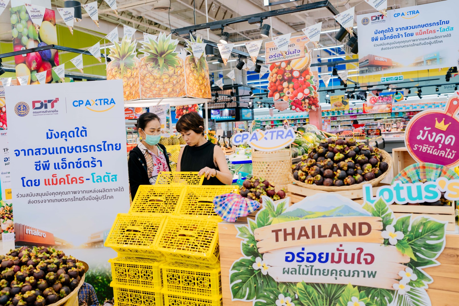 ภาพข่าวซีพี แอ็กซ์ตร้า รับซื้อมังคุดใต้