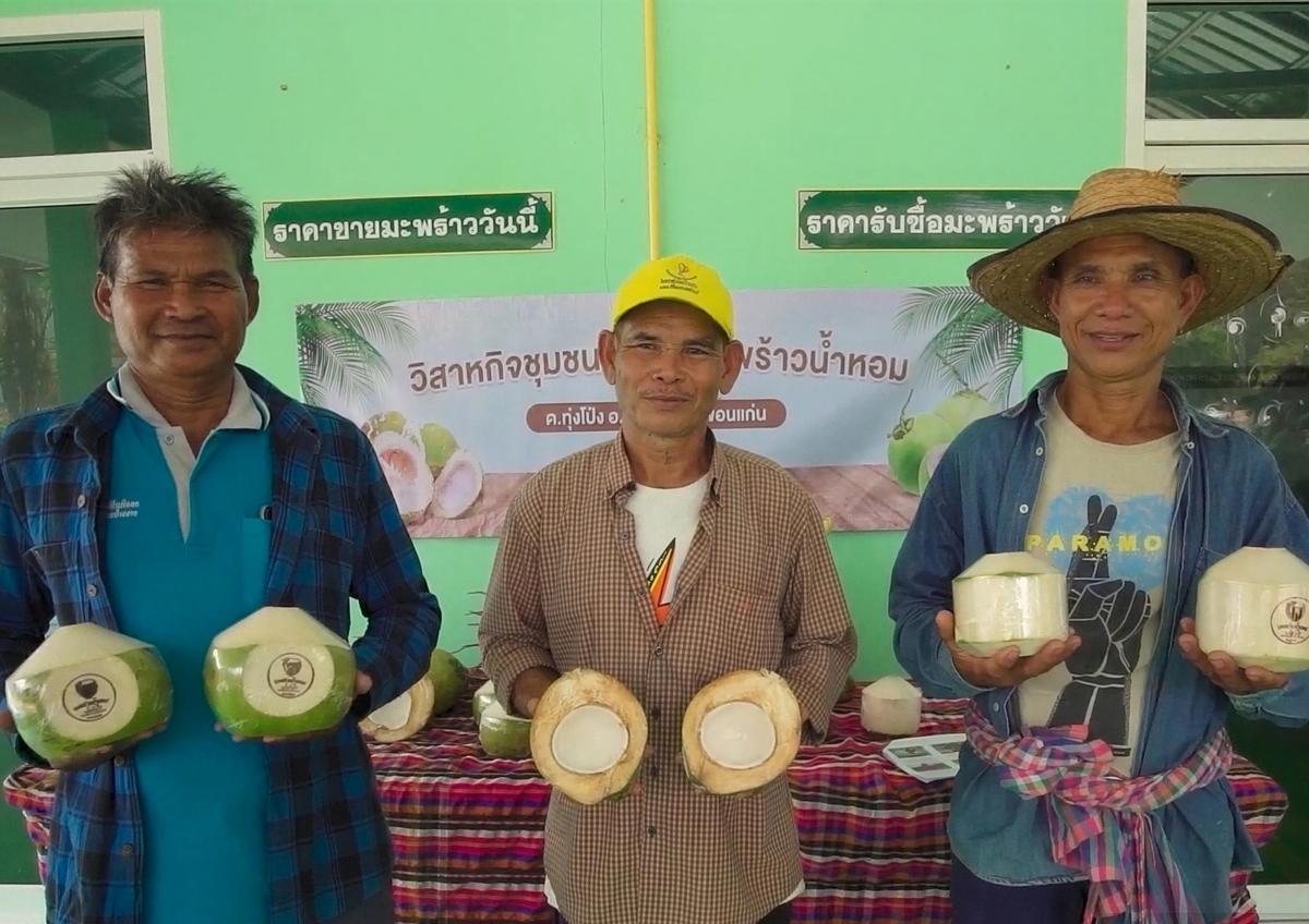 กลุ่มเกษตรกรผู้ปลูกมะพร้าวน้ำหอม