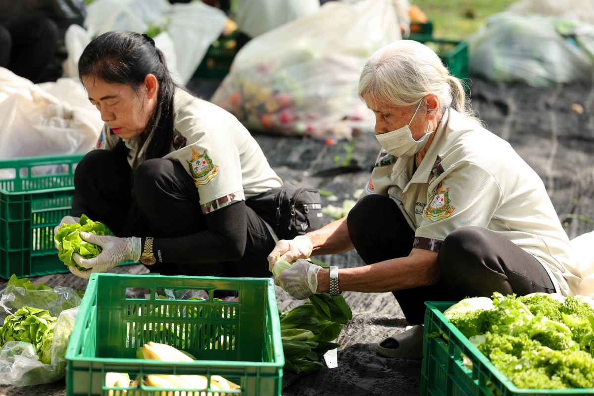 โครงการจัดการอาหารส่วนเกินของแม็คโคร-โลตัส