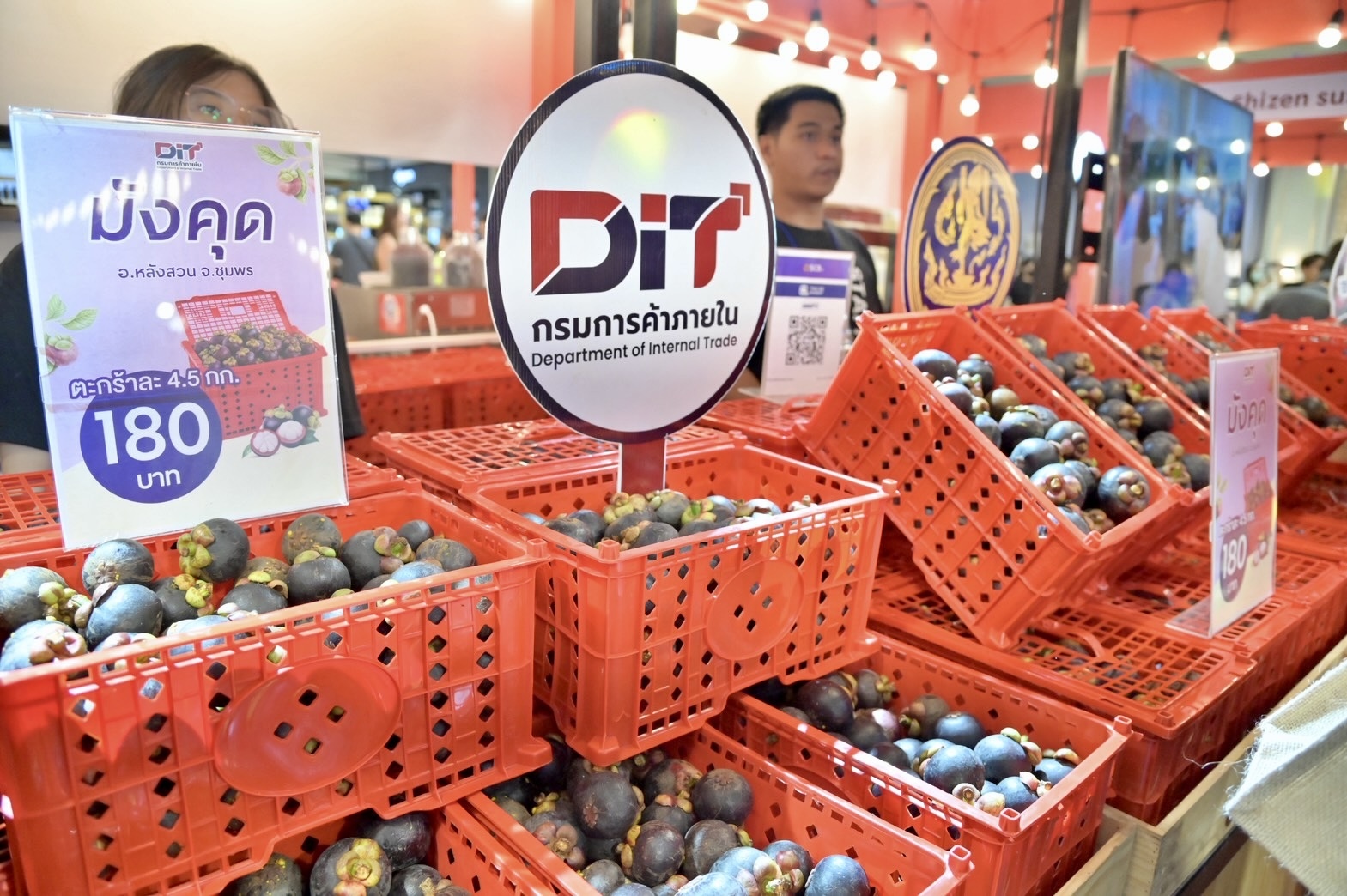 ภาพกิจกรรมจำหน่ายมังคุด