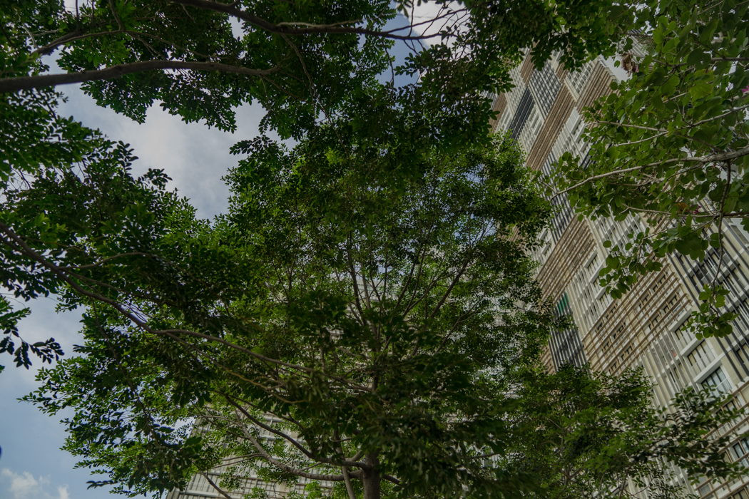 ภาพโครงการ Park 24 Phrom Phong