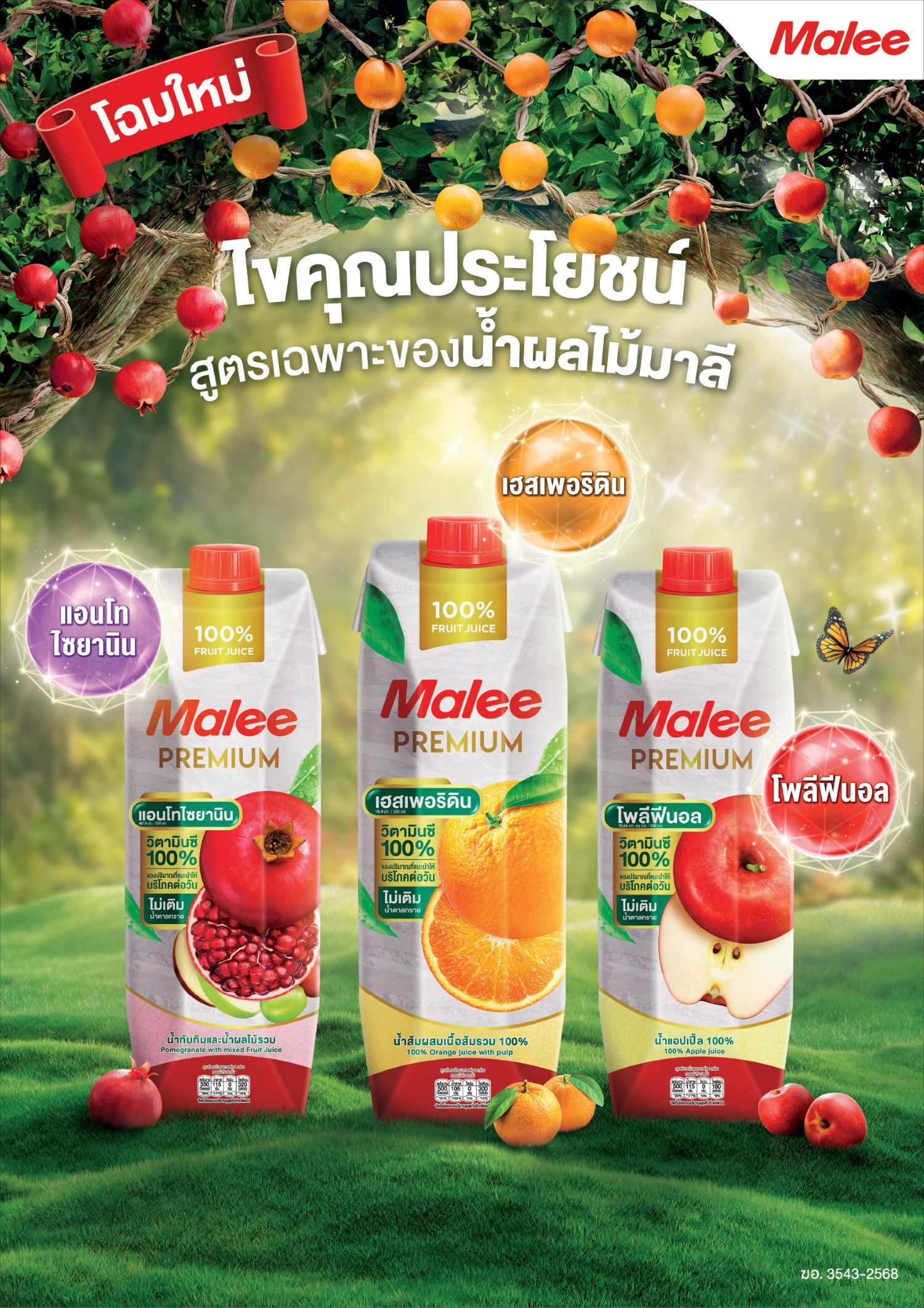 ผลิตภัณฑ์น้ำผลไม้มาลี Malee