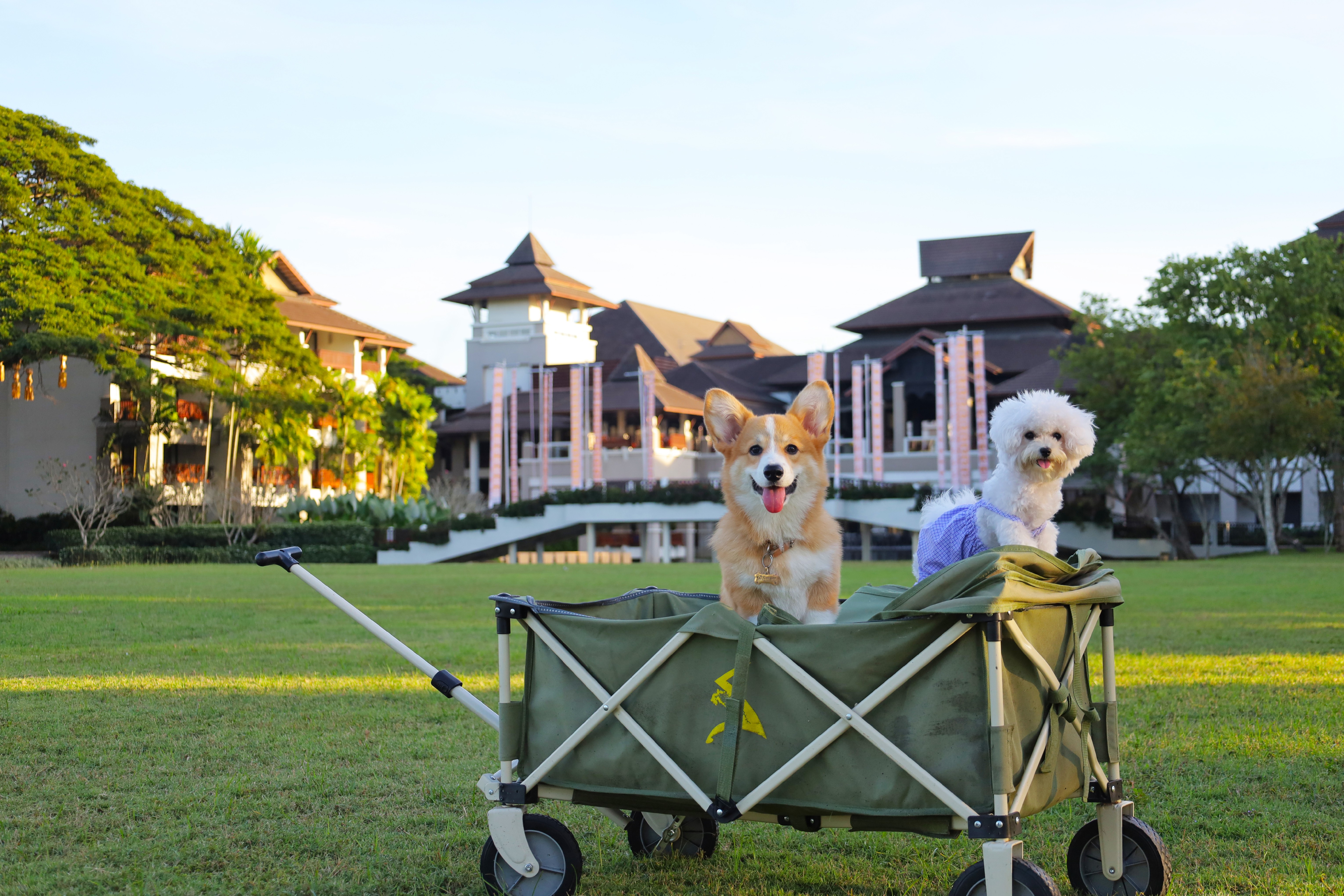 โรงแรม เลอ เมอริเดียน เชียงราย รีสอร์ท