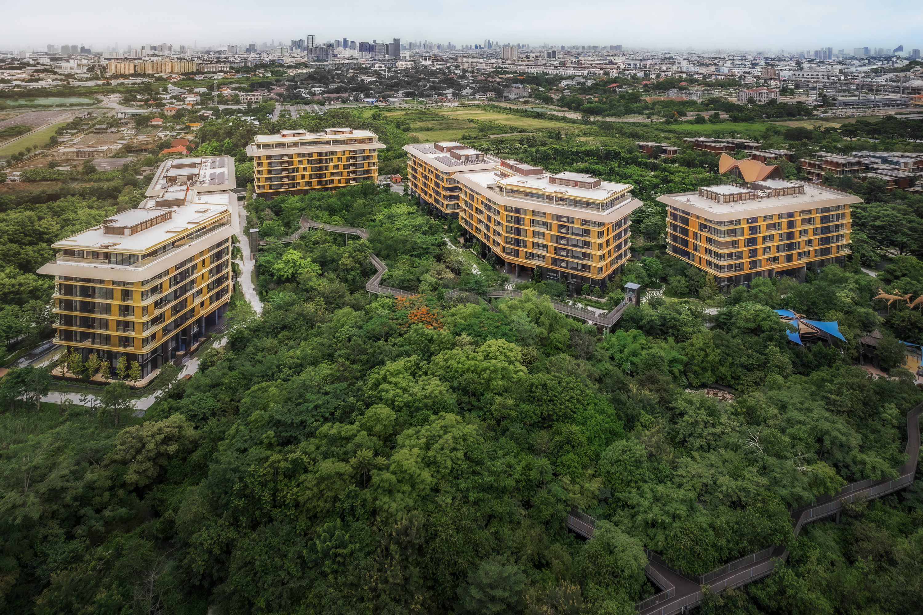 ภาพโครงการ Mulberry Grove The Forestias Condominiums