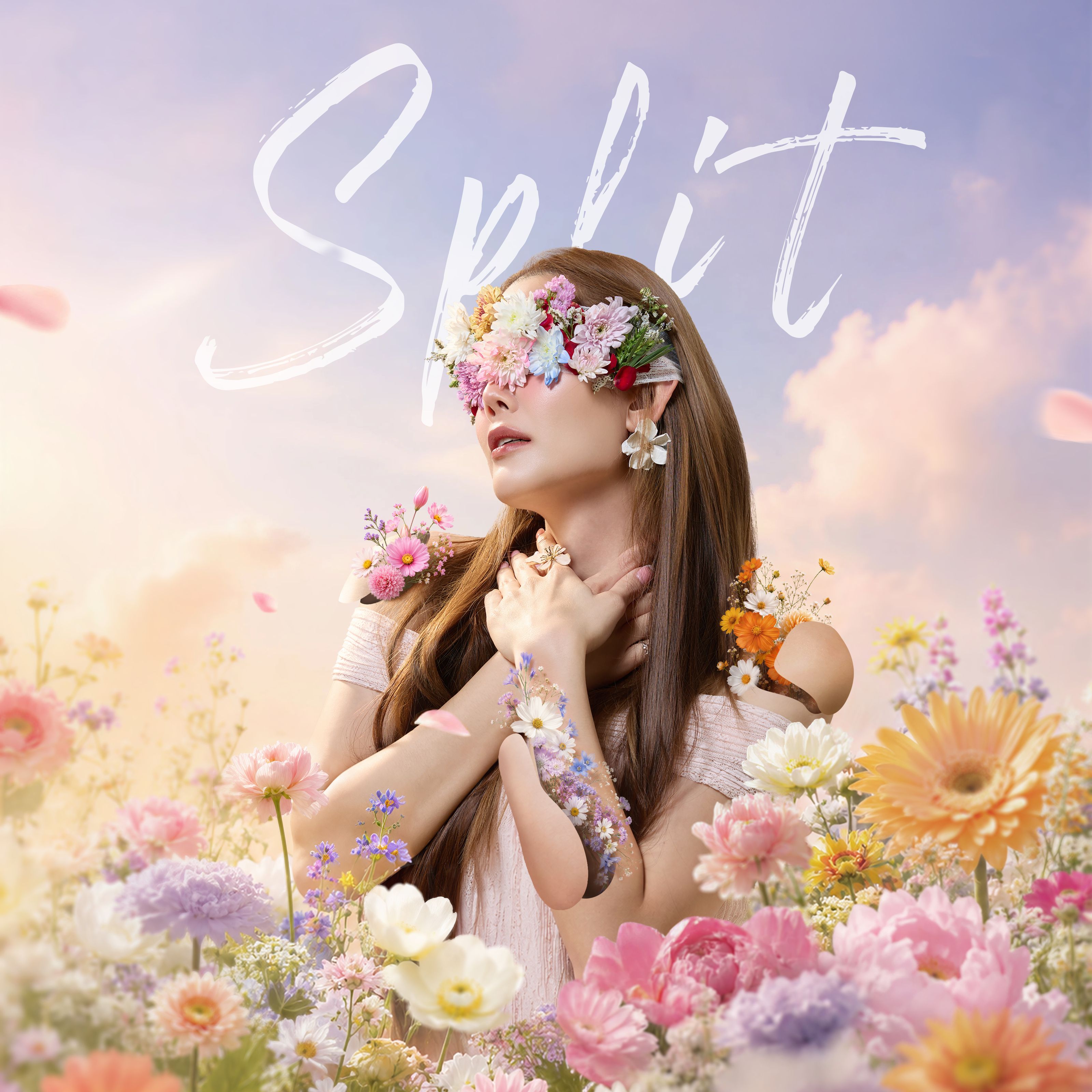 ปกอัลบั้ม Split
