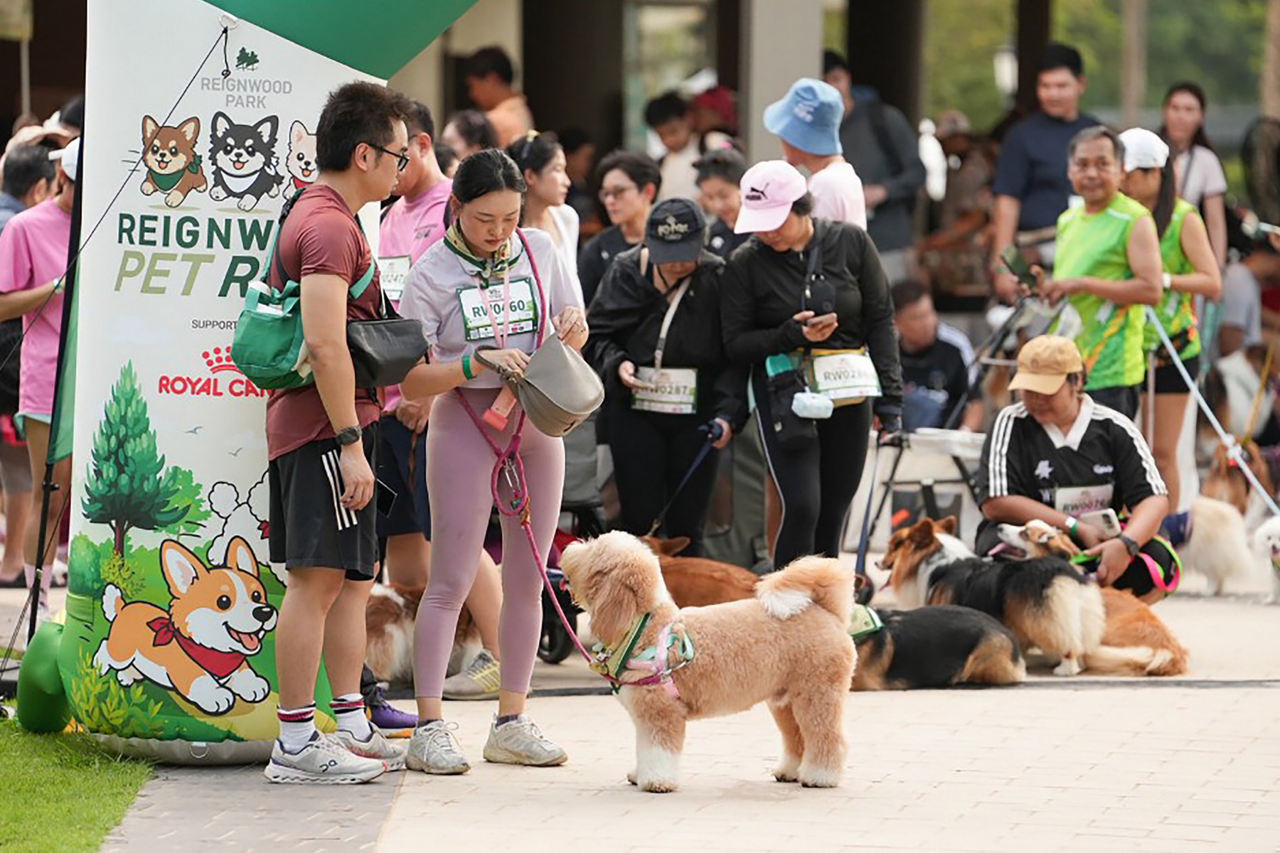 เจ้าของและสุนัขร่วมกิจกรรม Heart Missions บนเส้นทาง Heartbeat Rally