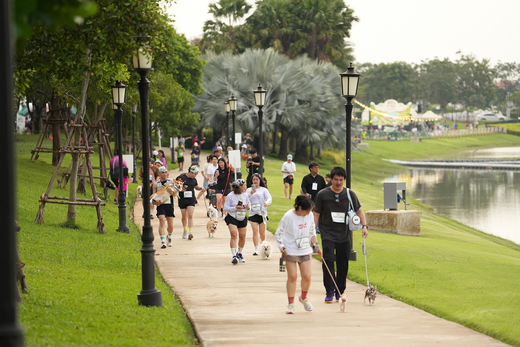กิจกรรม Sunset Picnic และดนตรีอะคูสติกปิดท้ายงาน REIGNWOOD PET RUN 2026
