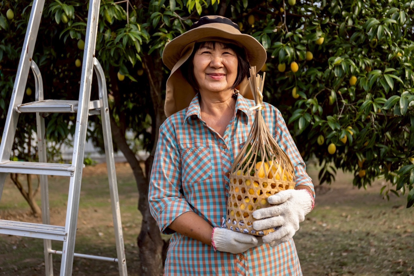 ภาพประกอบ ก้าวสู่ 144 ปี ไปรษณีย์ไทย (11)