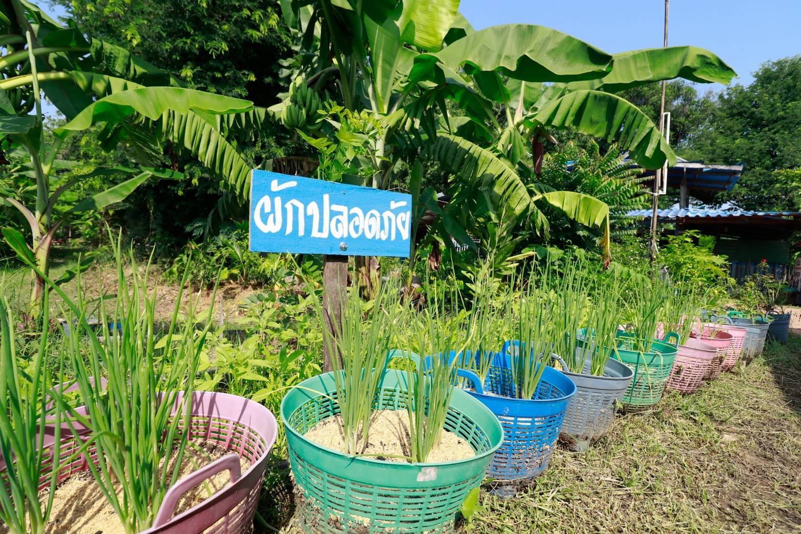 นิทรรศการนวัตกรรมแก้จน