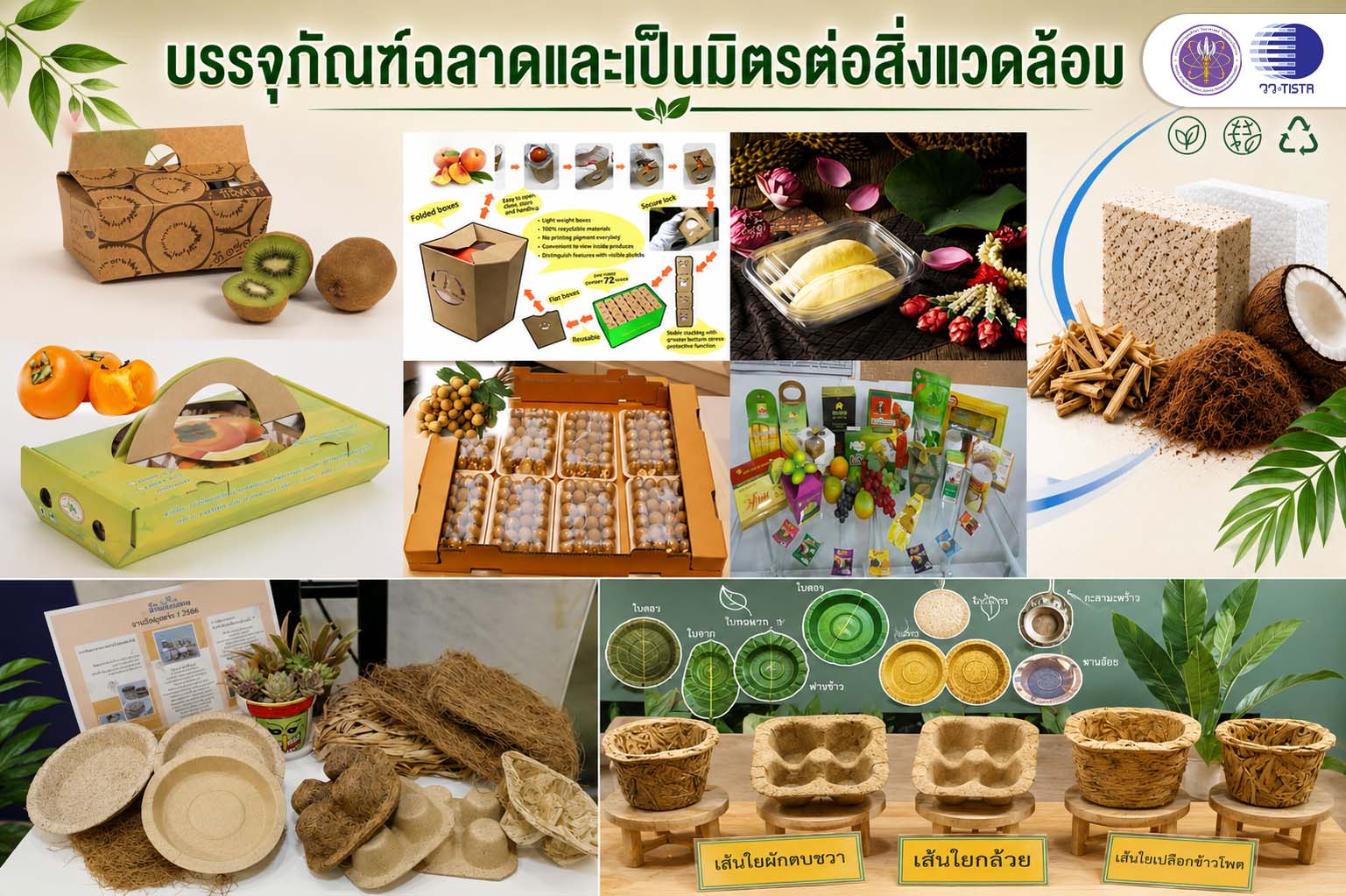 บรรจุภัณฑ์ฉลาดและเป็นมิตรต่อสิ่งแวดล้อม