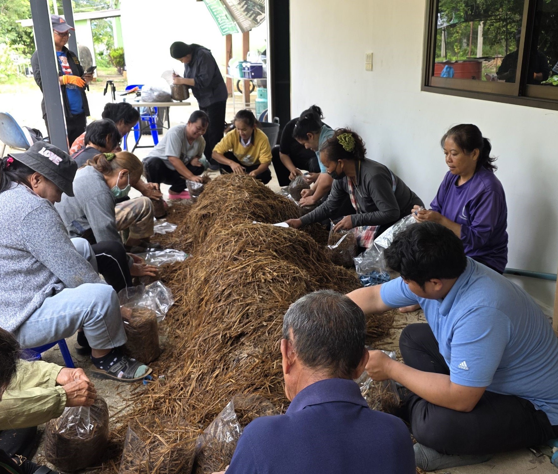 การอบรมเชิงปฏิบัติการการเพาะเห็ดตระกูลนางรม