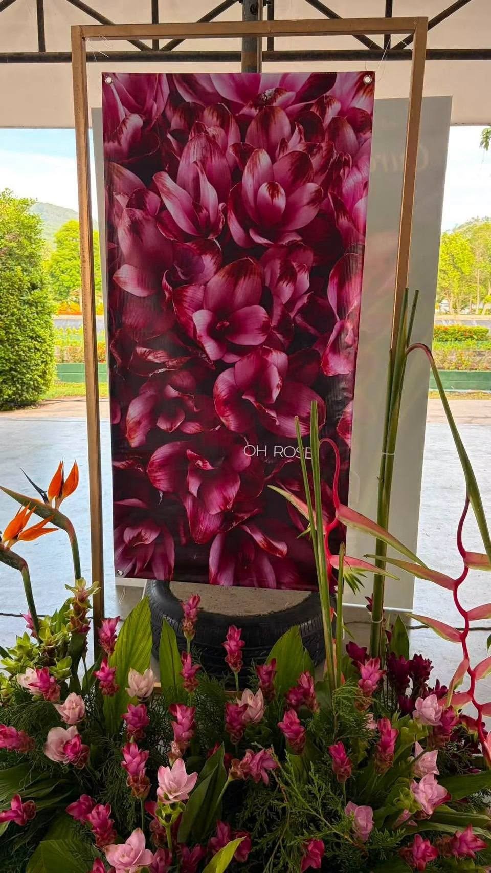 ภาพกิจกรรมเปิดศูนย์ถ่ายทอดองค์ความรู้ปทุมมาปลอดโรคแห่งอ่าวไทย