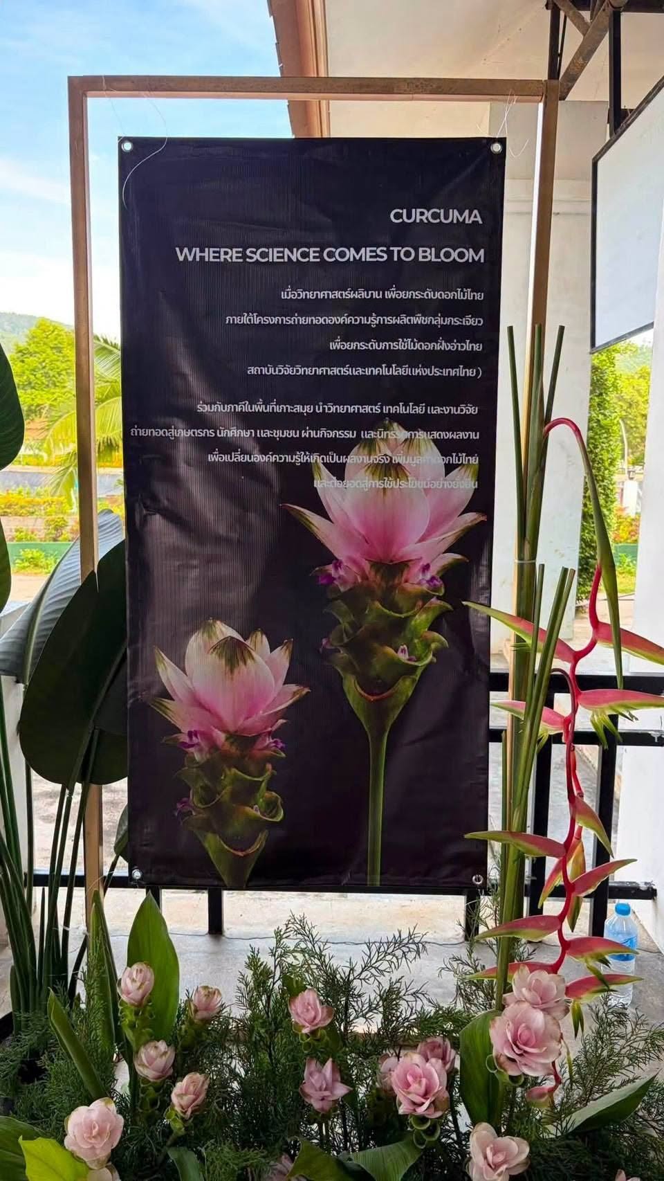 ภาพกิจกรรมเปิดศูนย์ถ่ายทอดองค์ความรู้ปทุมมาปลอดโรคแห่งอ่าวไทย