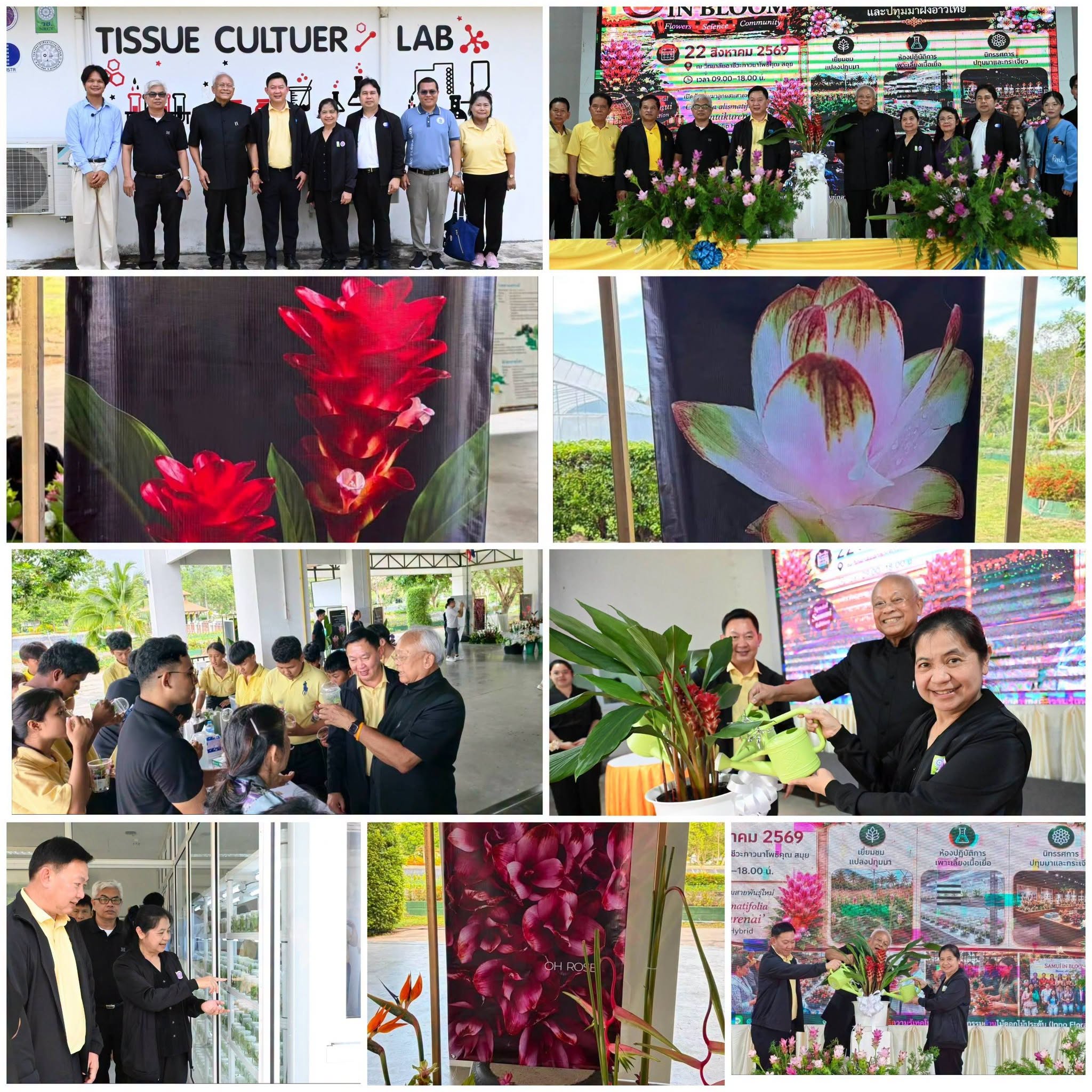 ภาพกิจกรรมเปิดศูนย์ถ่ายทอดองค์ความรู้ปทุมมาปลอดโรคแห่งอ่าวไทย