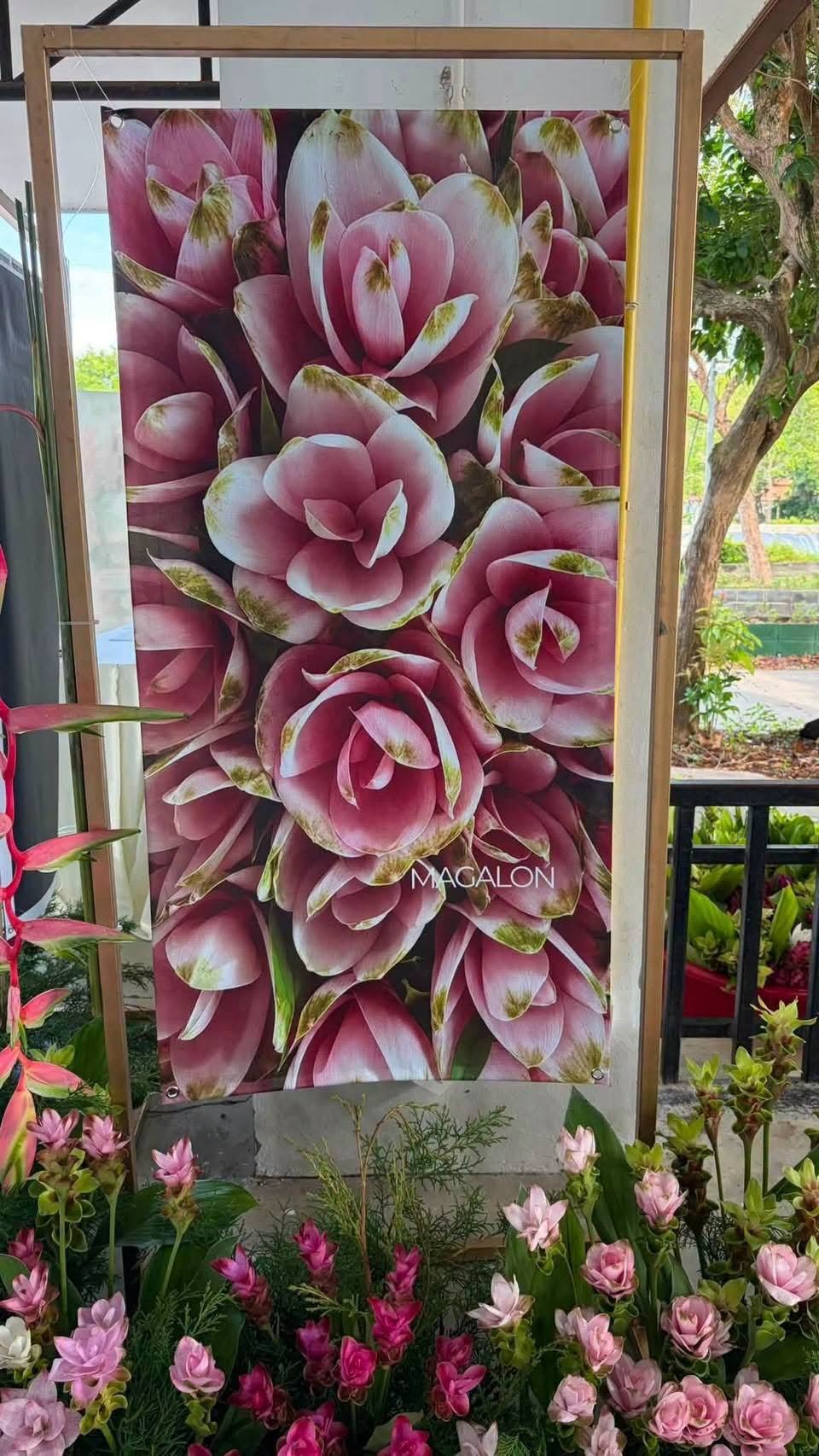 ภาพกิจกรรมเปิดศูนย์ถ่ายทอดองค์ความรู้ปทุมมาปลอดโรคแห่งอ่าวไทย