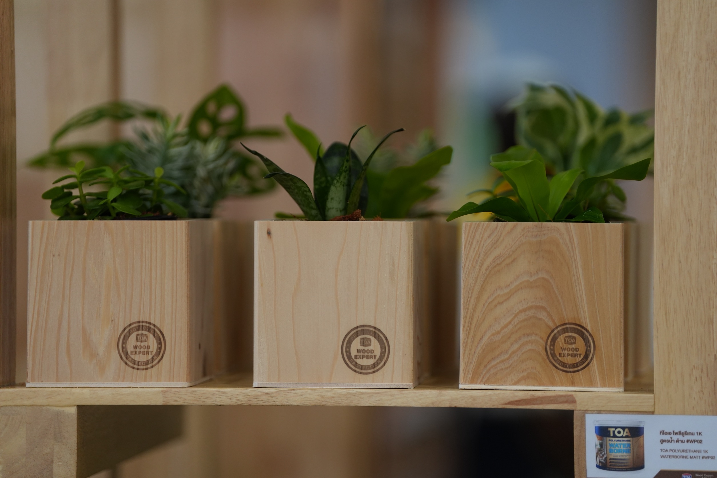 บรรยากาศกิจกรรมภายในงาน TOA Wood Expert ดูแลไม้ไปด้วยกัน