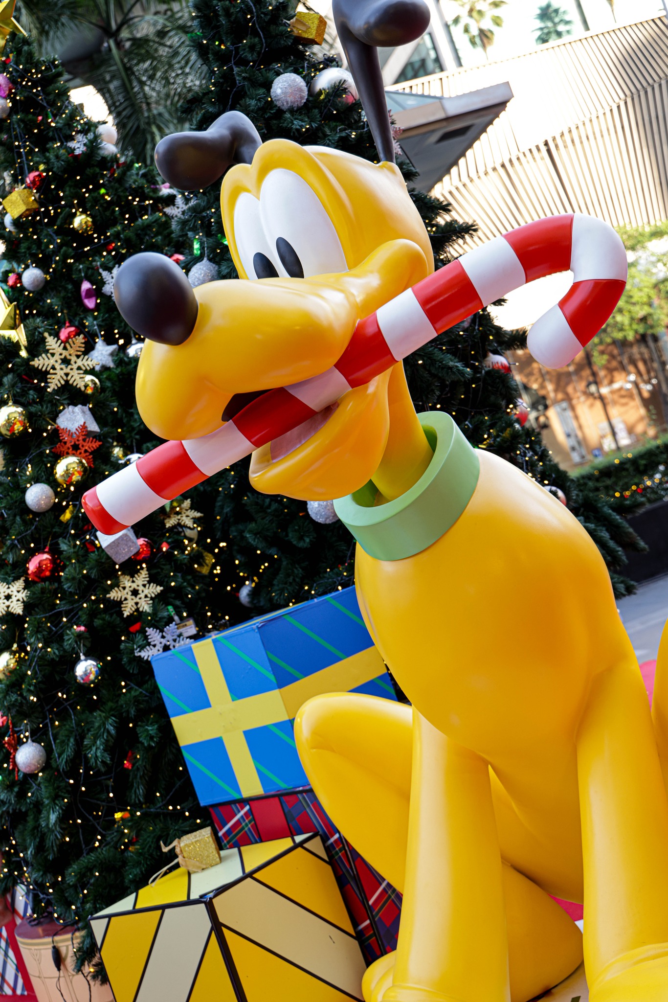 เปิดพิกัดความสุข The Magical Stars อาณาจักรคริสต์มาสธีมดิสนีย์สุดอบอุ่น เช็กอินหิมะตก–ฟีลเทพนิยาย ที่ศูนย์การค้าเซ็นทรัลทั่วประเทศ