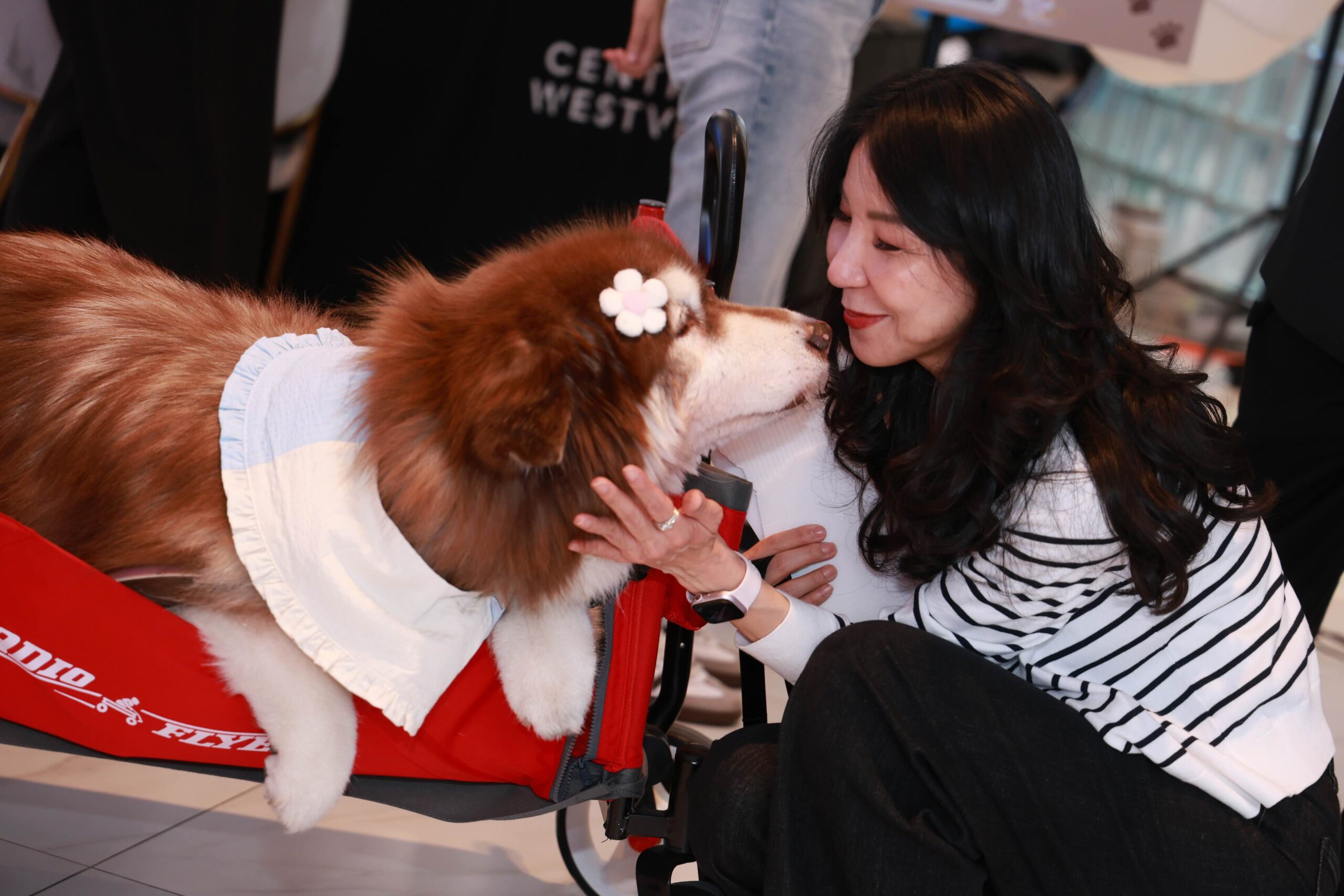 ครั้งแรกในไทย นวัตกรรมสเต็มเซลล์เพื่ออนาคตสุขภาพสัตว์เลี้ยง