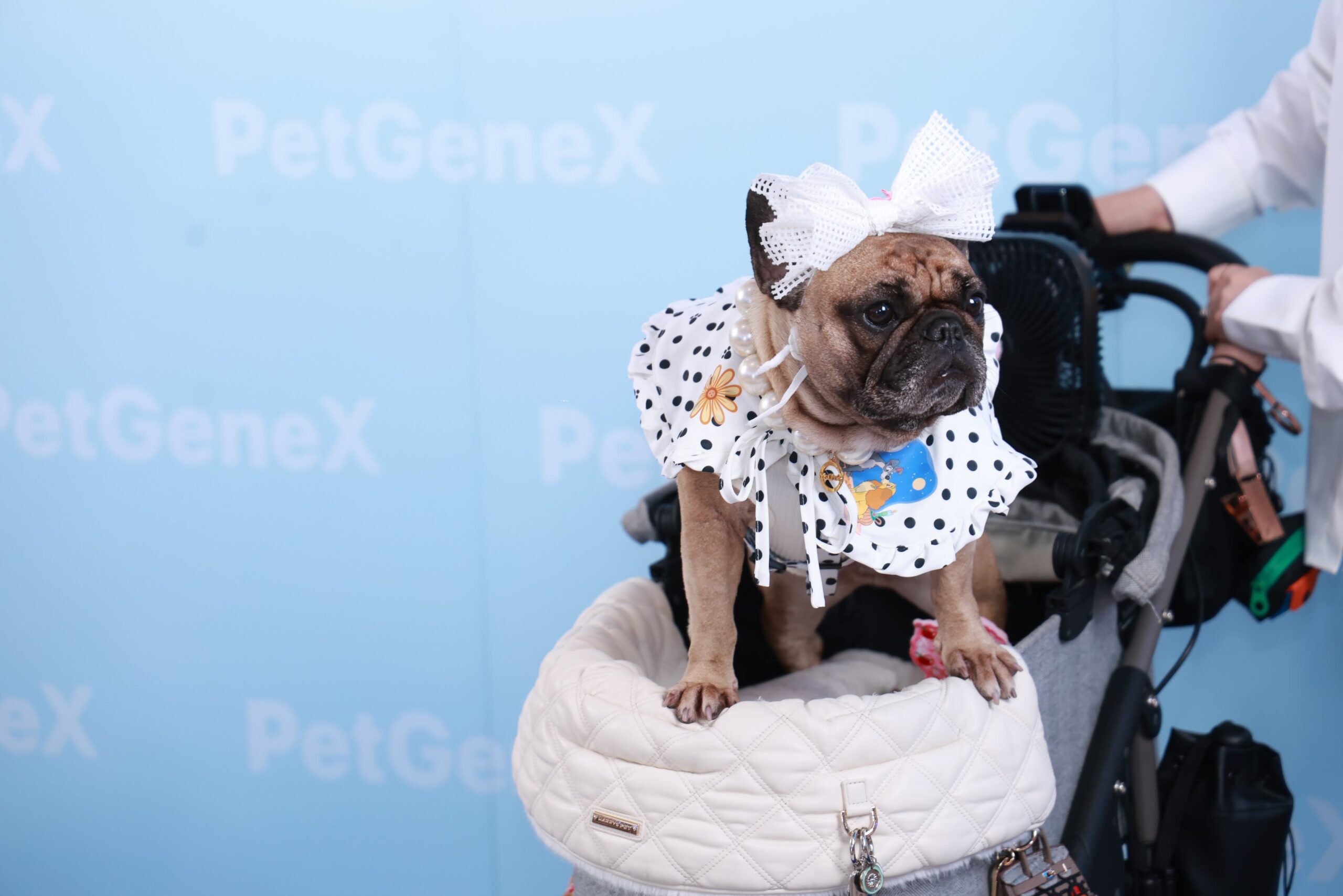 ครั้งแรกในไทย นวัตกรรมสเต็มเซลล์เพื่ออนาคตสุขภาพสัตว์เลี้ยง