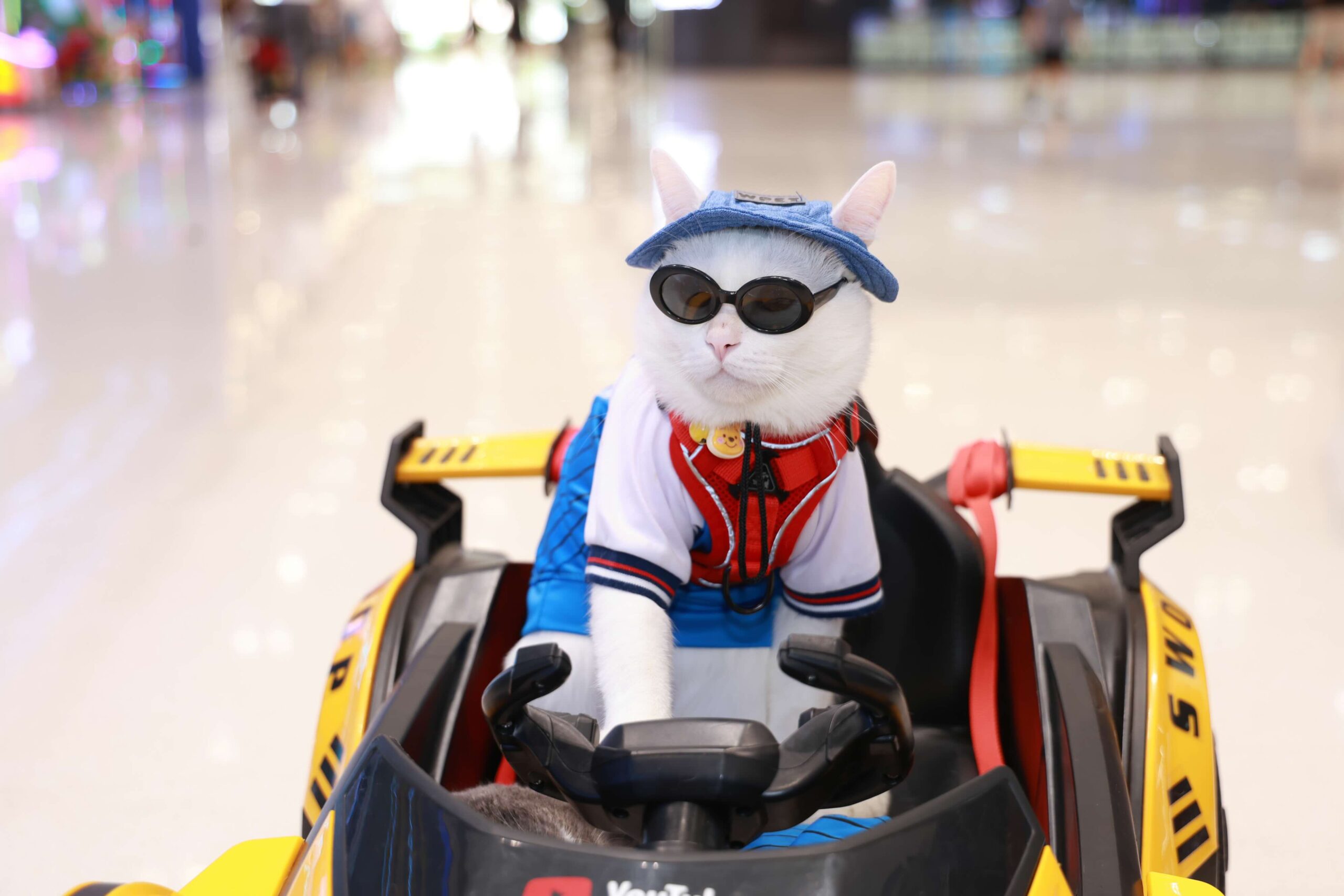 ครั้งแรกในไทย นวัตกรรมสเต็มเซลล์เพื่ออนาคตสุขภาพสัตว์เลี้ยง