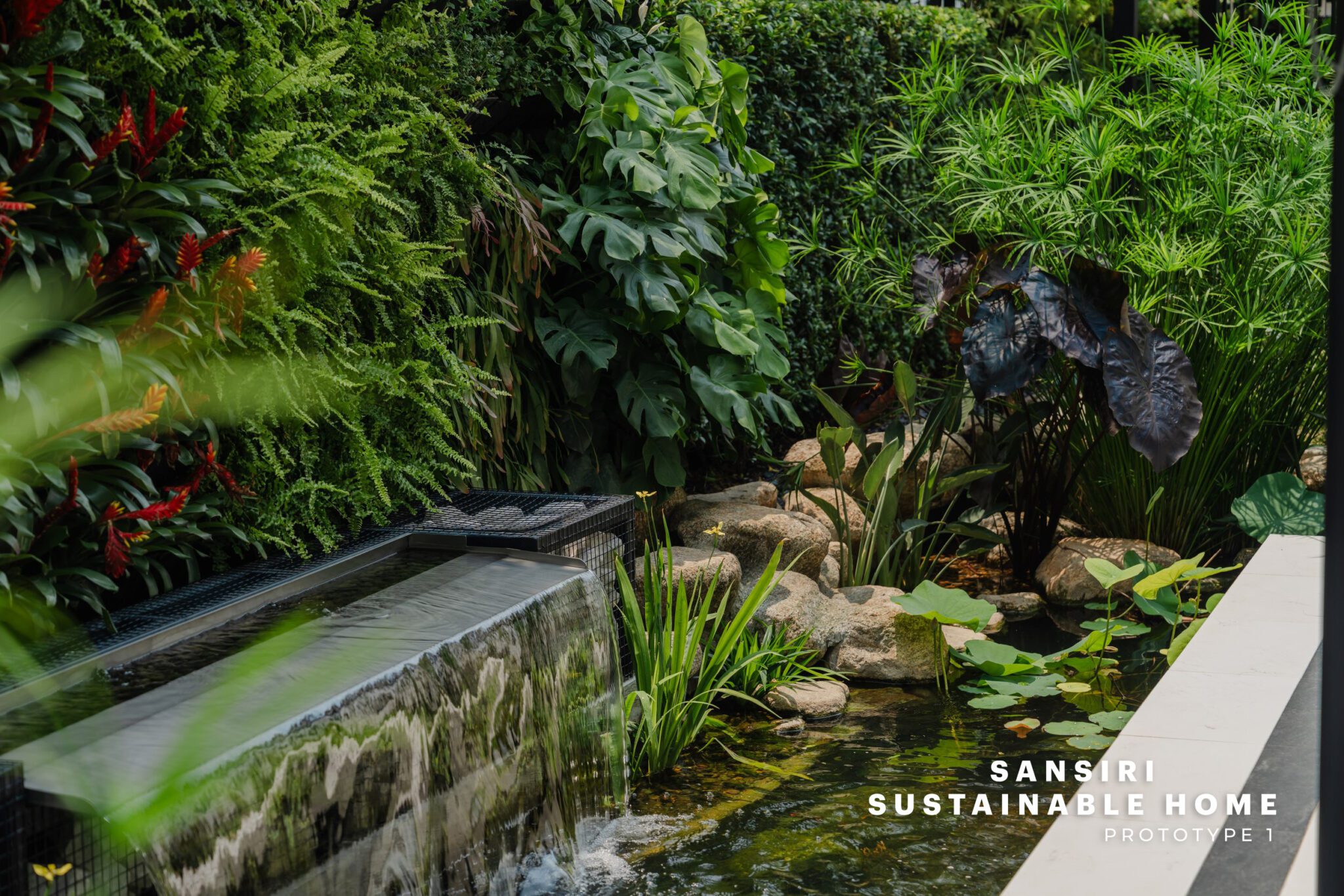 5.cooliving Design Water Feature + พื้นที่สีเขียว