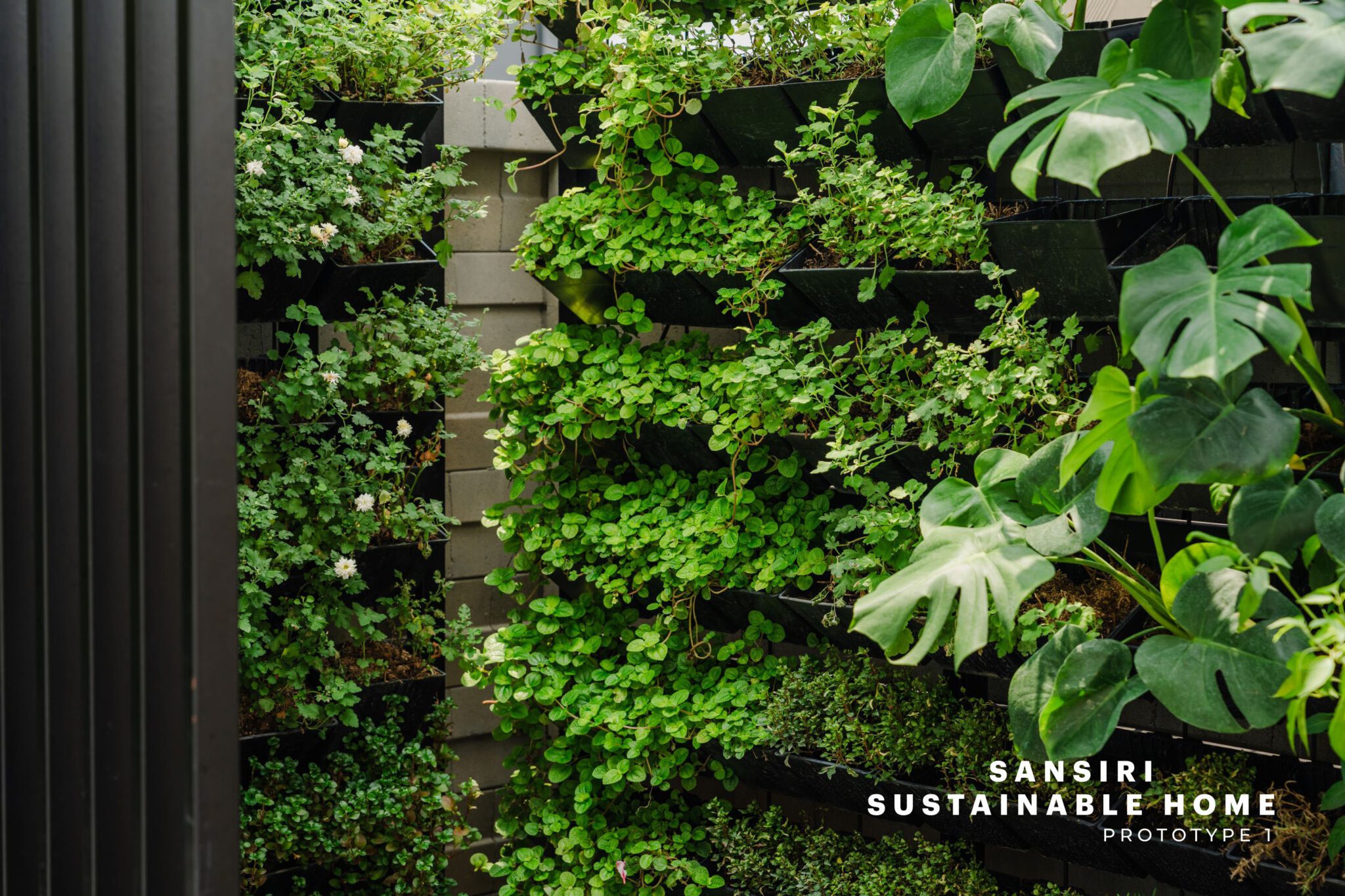 1.health & Well Being Design Sansiri Edible Verticle Backyard