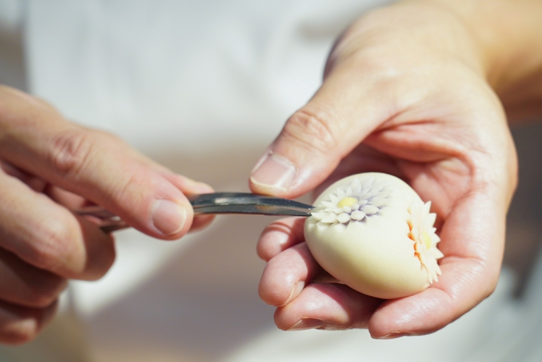 สยาม ทาคาชิมายะ ณ ไอคอนสยาม จัดงาน The Wagashi Japanese Foods, Crafts & Ikebana พร้อมจัดเต็มโปรโมชันลดทั้งห้างสูงสุด 50% แทนคำขอบคุณ 7 ปีที่เคียงข้างกัน ระหว่างวันที่ 19 – 30 พฤศจิกายน 2568