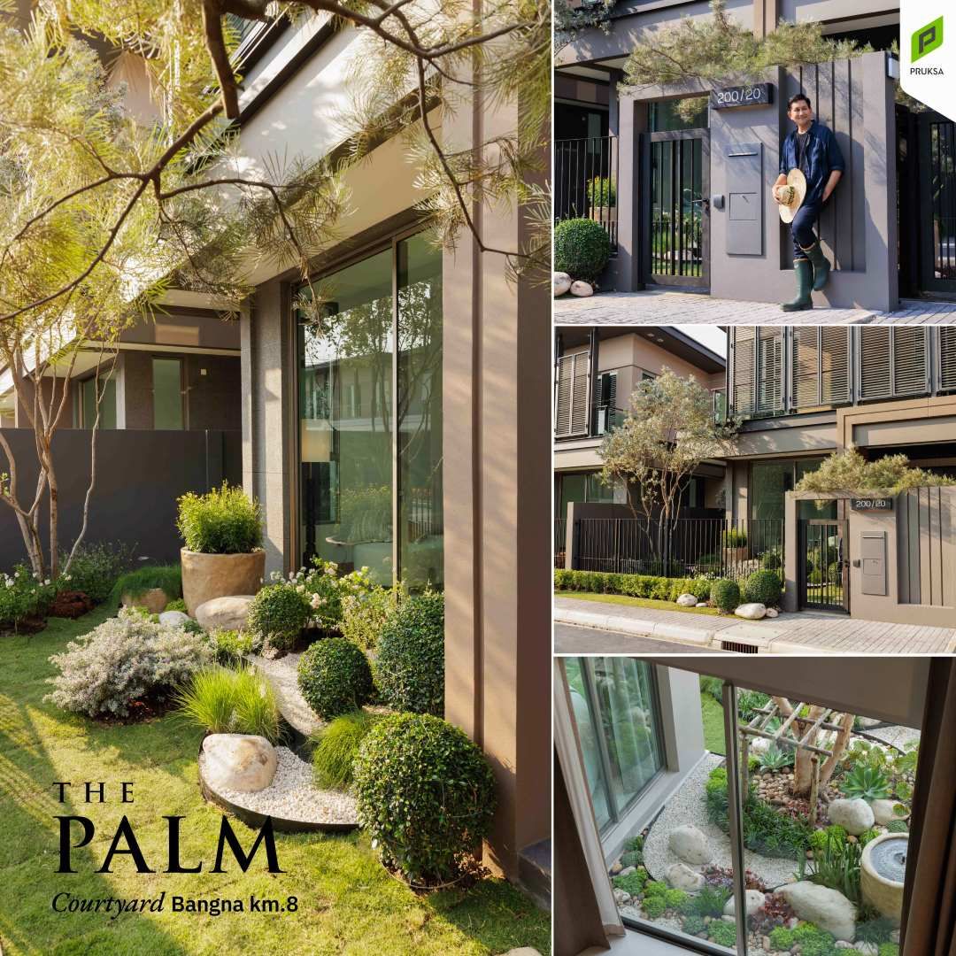 รูปโครงการ เดอะ ปาล์ม คอร์ทยาร์ด บางนา กม. 8 (The Palm Courtyard Bangna KM.8)