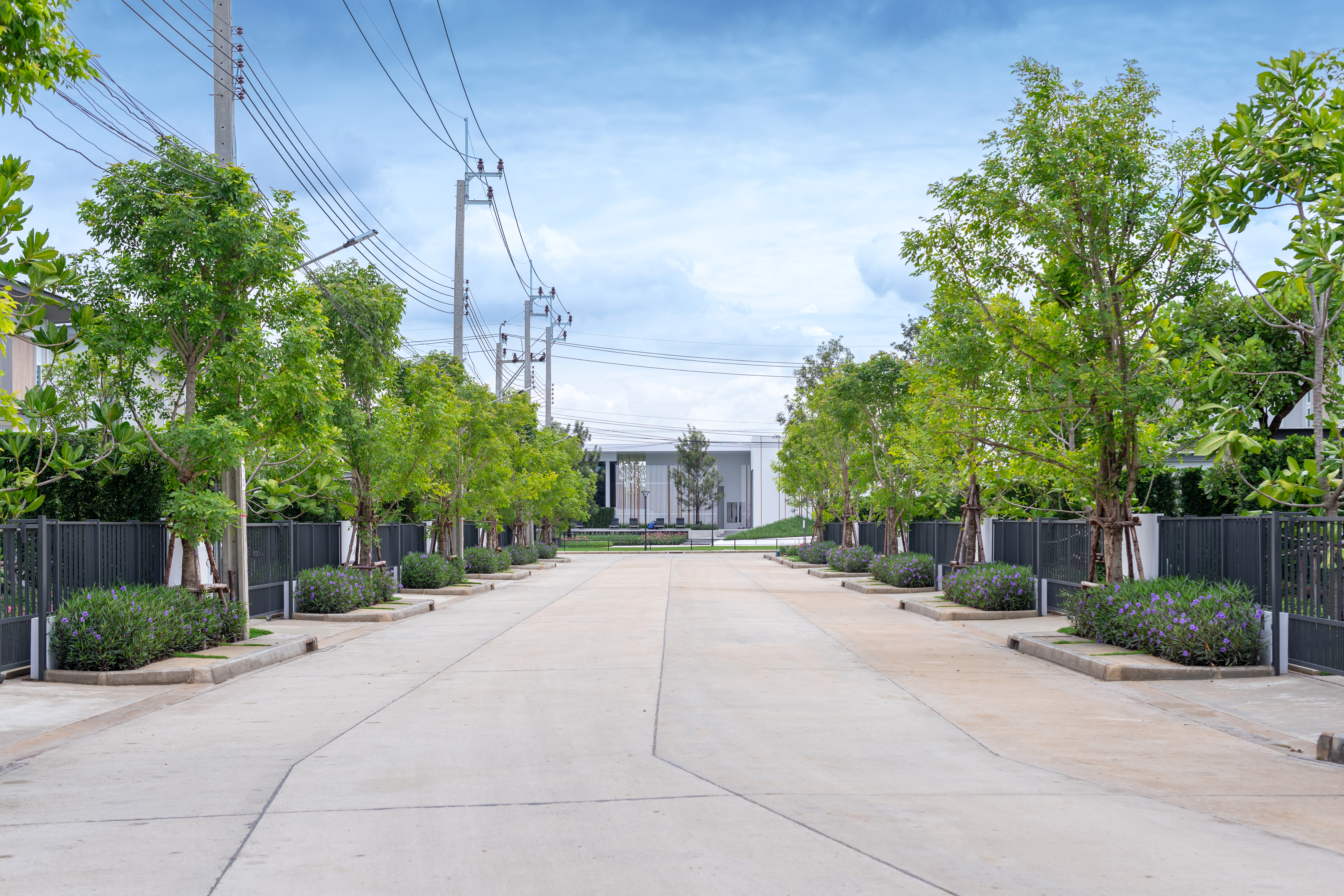 รูปโครงการ พฤกษ์ลดา ปิ่นเกล้า-ศาลายา (PRUEKLADA Pinklao-Salaya)