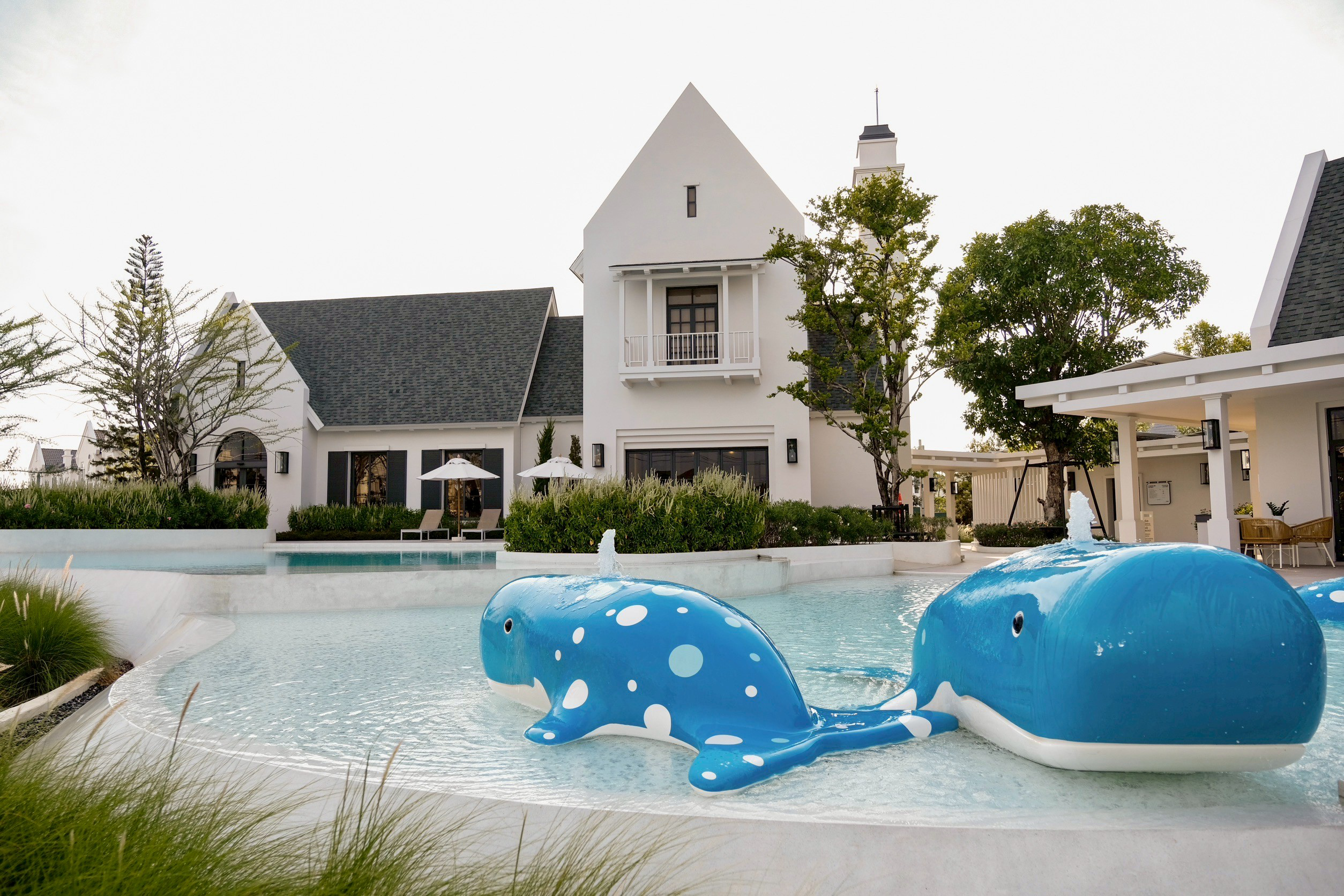 รูปโครงการ ชัยพฤกษ์ แจ้งวัฒนะ (CHAIYAPRUEK Chaengwatthana)