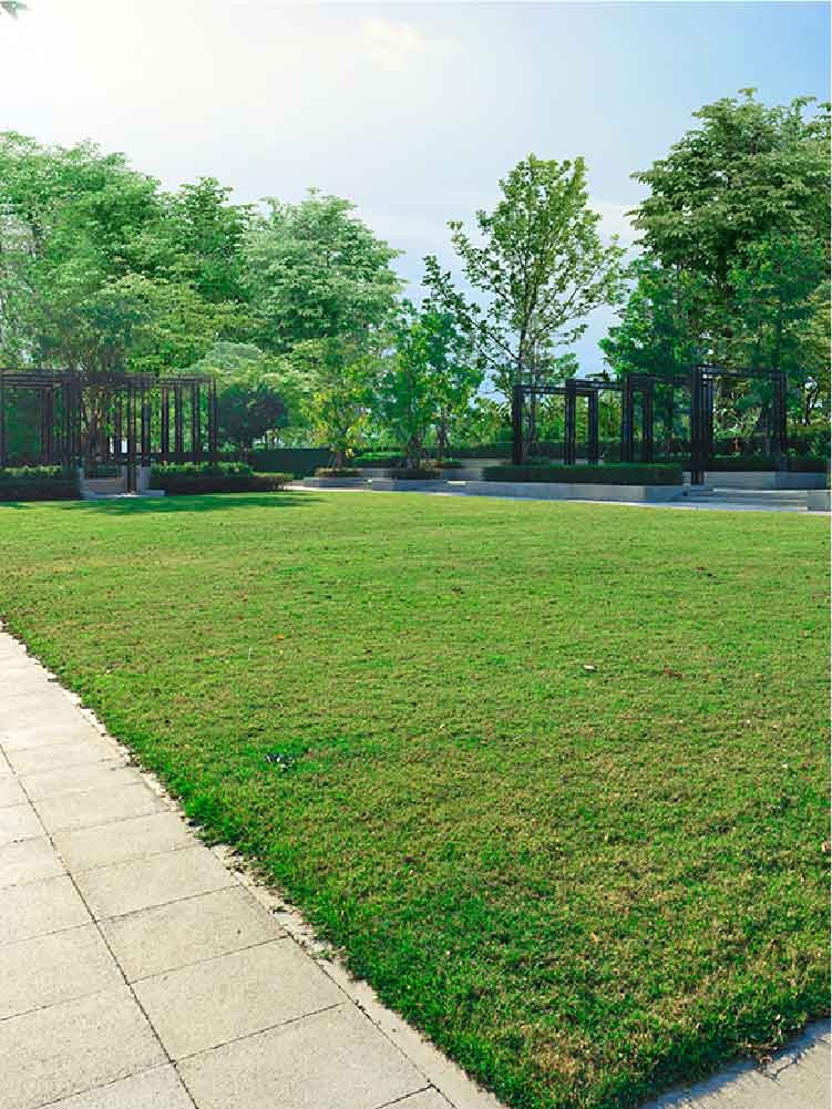 รูปโครงการ บ้านพฤกษา ประชาอุทิศ (2) (Baan Pruksa Pracha Uthit 2)