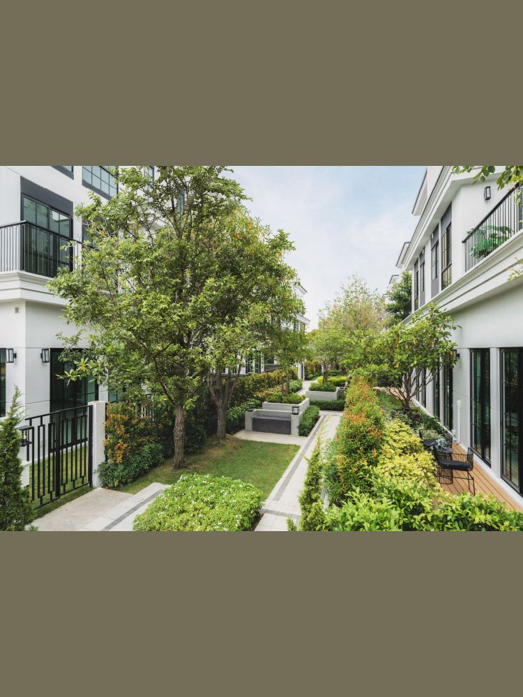 รูปโครงการ พายน์ เวลเนส เรสซิเดนซ์ ประชาชื่น (PINE Wellness Residence Prachachuen)