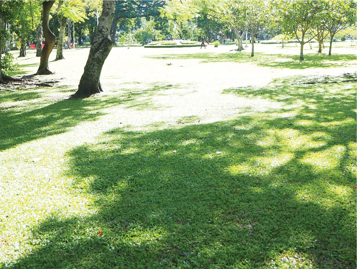 รูปโครงการ บ้านพฤกษา ลำลูกกา-วงแหวนฯ (Baan Pruksa Lamlukka-Wongwaen)