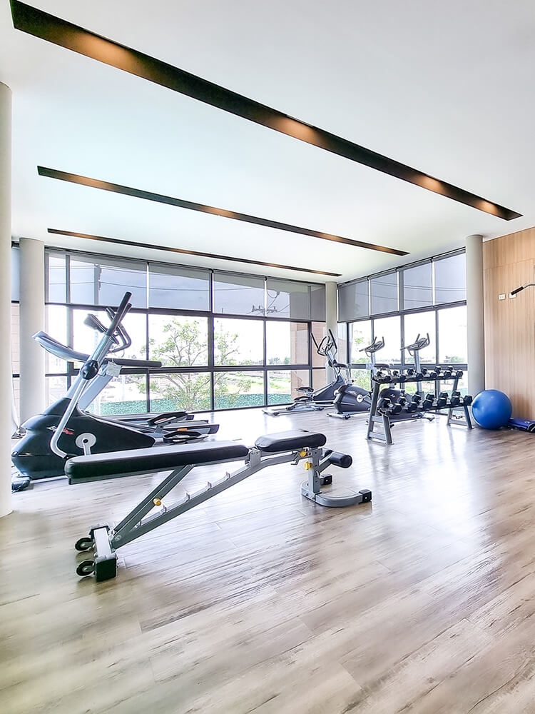 รูปโครงการ เดอะ แพลนท์ รังสิตคลองสี่-วงแหวน (The Plant Rangsit Klong 4-Wongwaen)