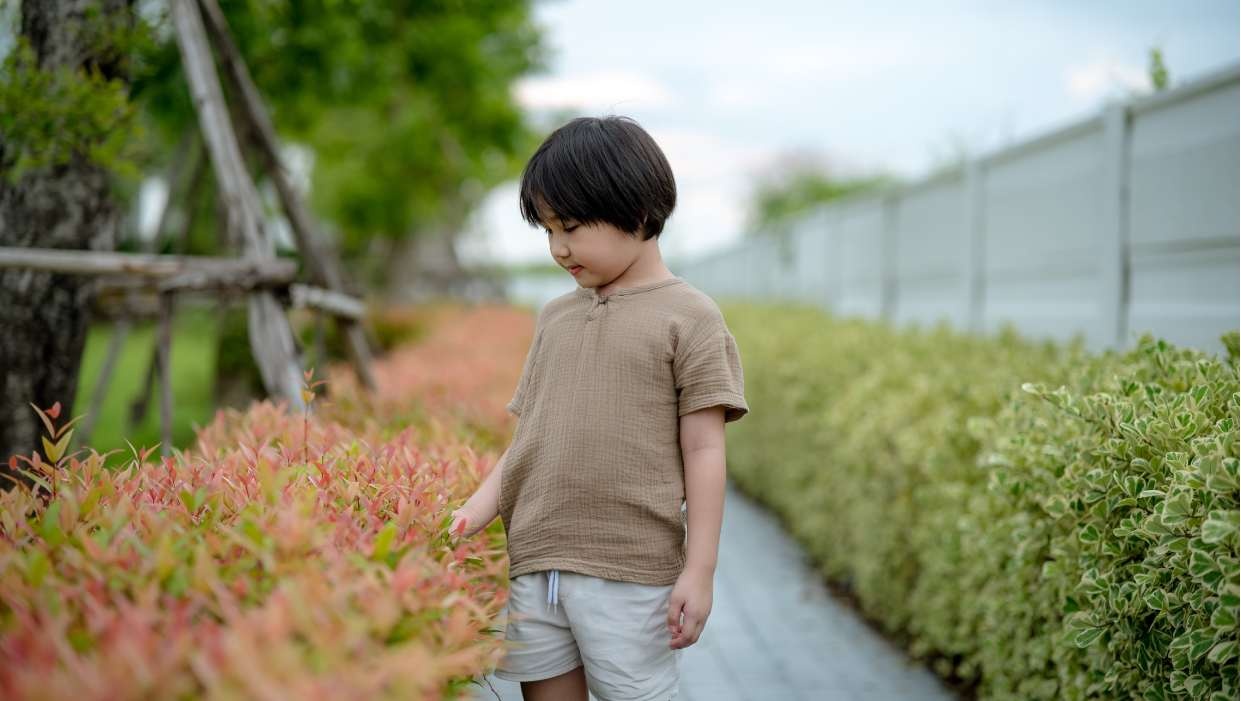 รูปโครงการ พฤกษาวิลล์ บางนา-อ่อนนุช (Pruksa Ville Bangna-Onnut)