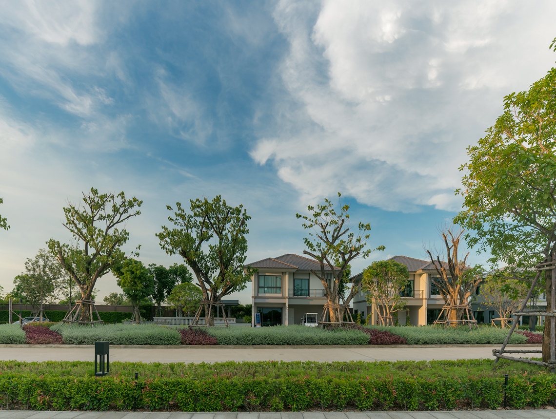 รูปโครงการ เดอะ แพลนท์ ชัยพฤกษ์-วงแหวนฯ (The Plant Chaiyapruek-Wongwaen)