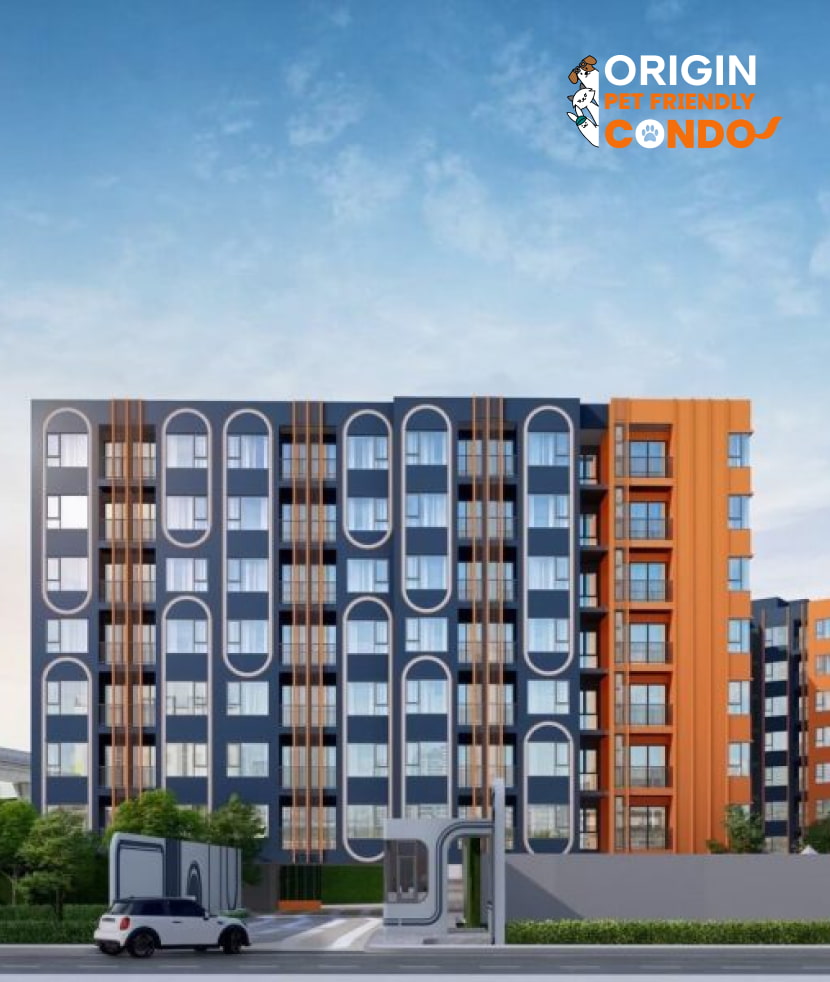 รูปโครงการ บริกซ์ตัน เพ็ท & เพลย์ พหลโยธิน 50 สเตชั่น (Brixton Pet & Play Phahol 50 Station)