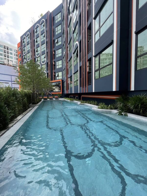 รูปโครงการ บริกซ์ตัน เพ็ท & เพลย์ พหลโยธิน 50 สเตชั่น (Brixton Pet & Play Phahol 50 Station)