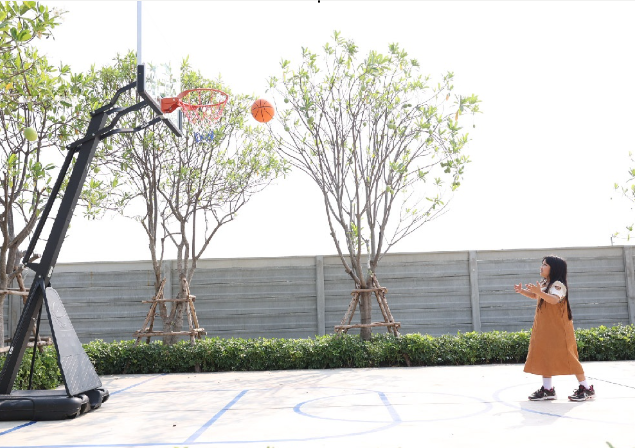 รูปโครงการ บ้านพฤกษา มหิดล - ศาลายา (Baan Pruksa Mahidol - Salaya)